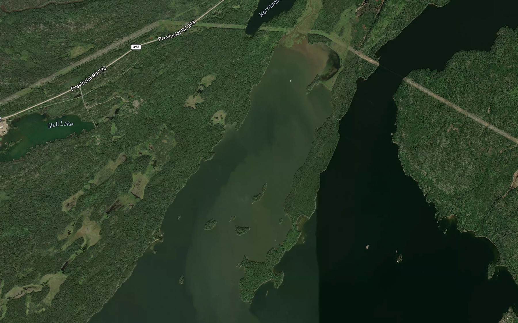 Satellite map of the Snow Bay