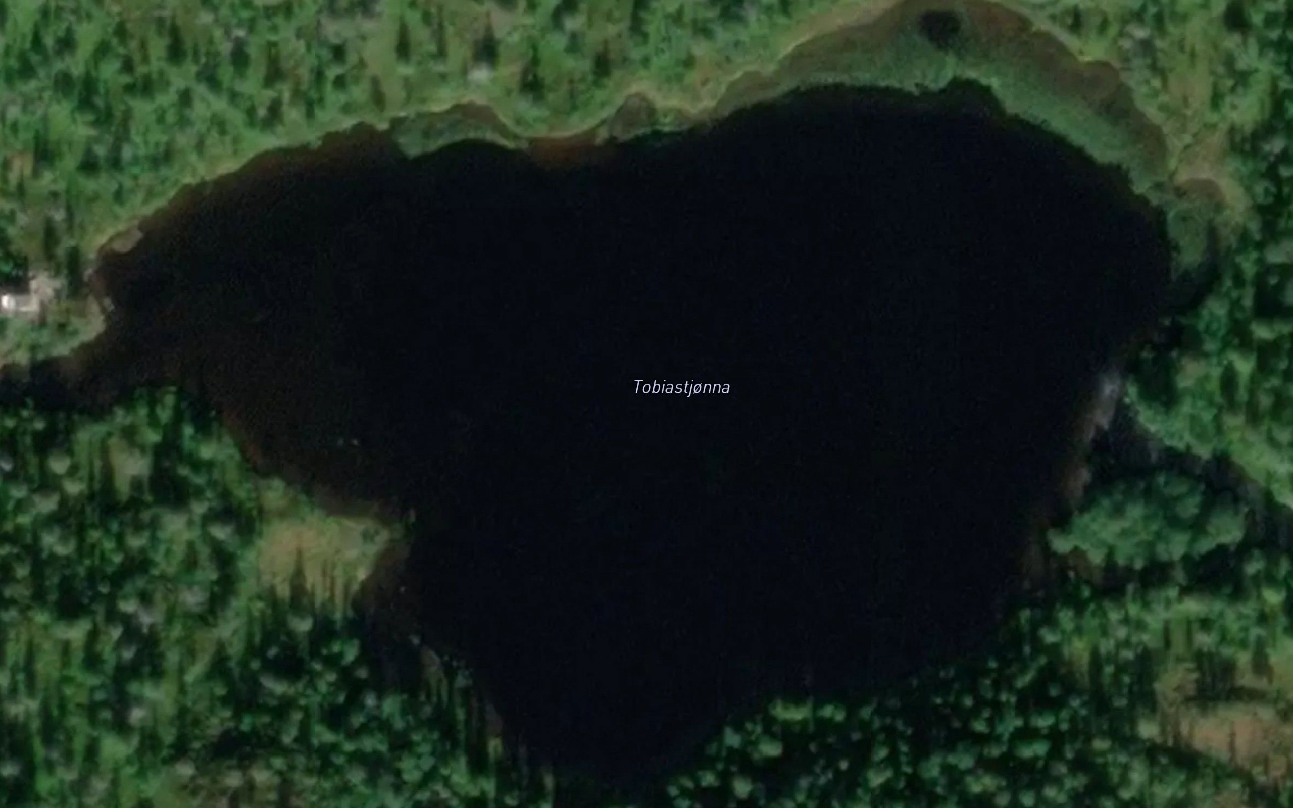 Tobiastjorna