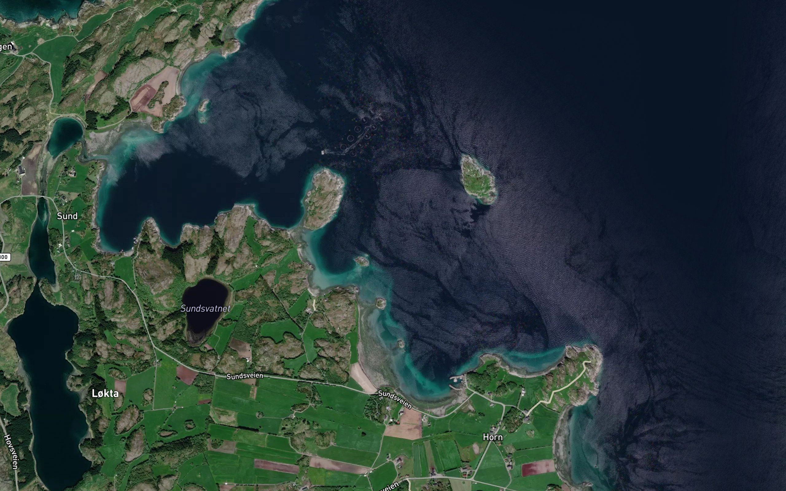 Karvika