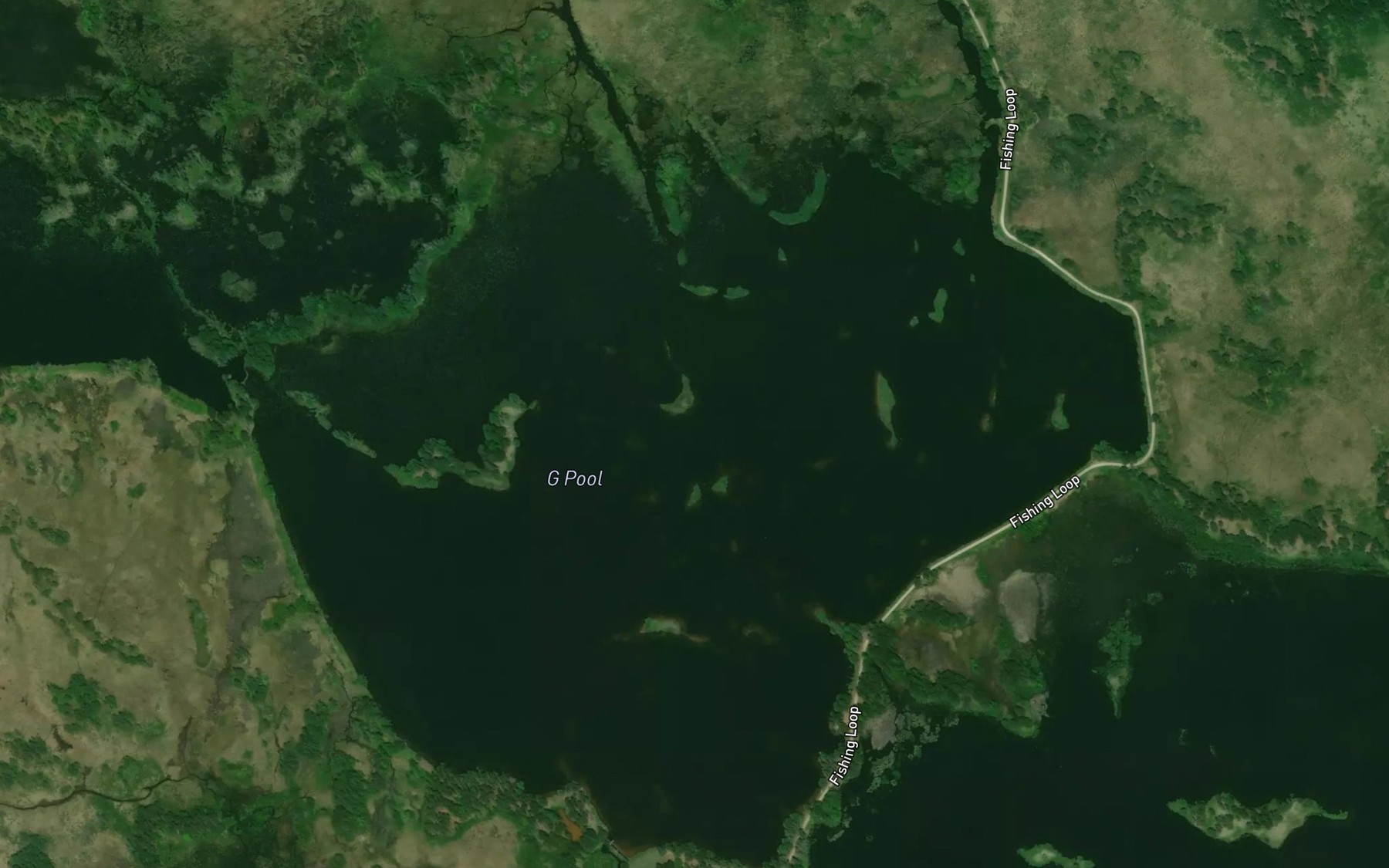 Satellite map of the G Pool