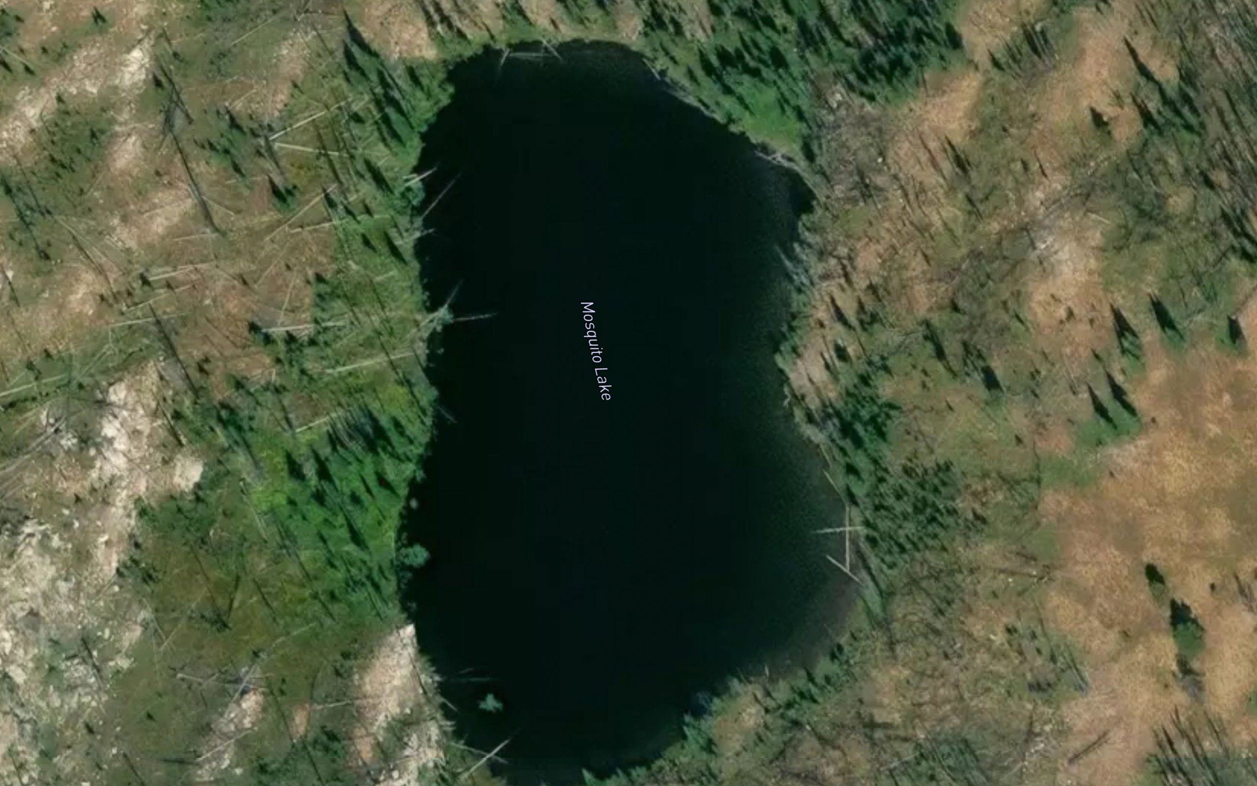 Mosquito Lake