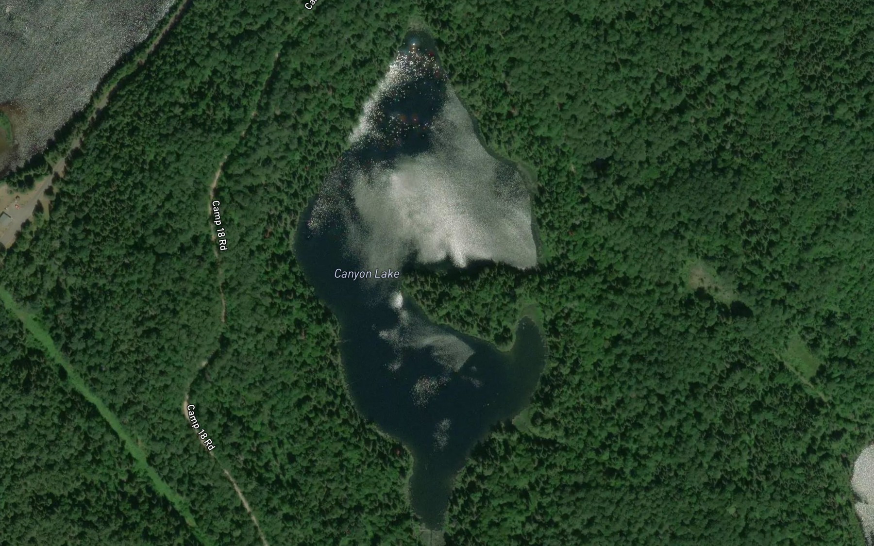 Satellite map of the Canyon Lake