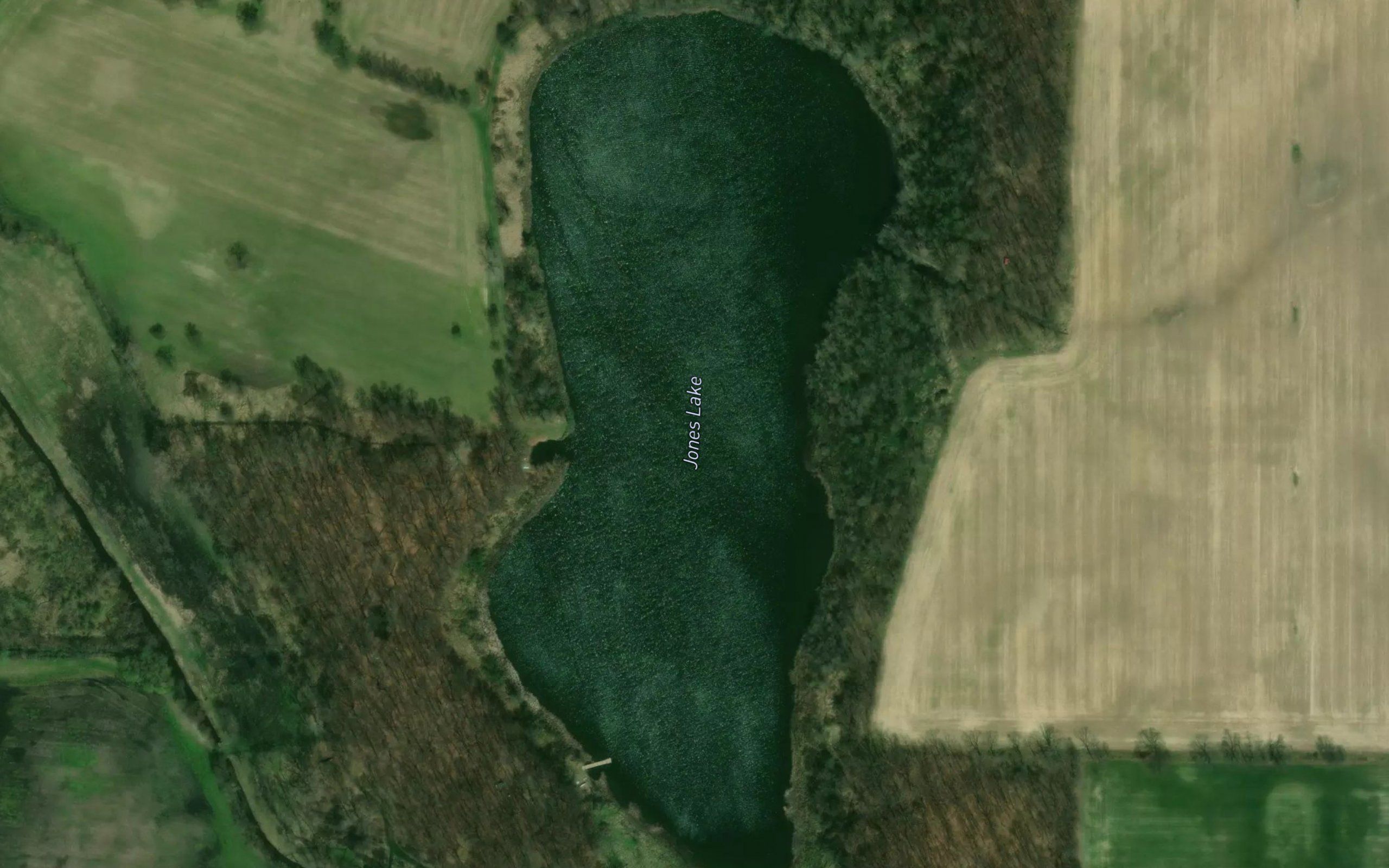 Jones Lake