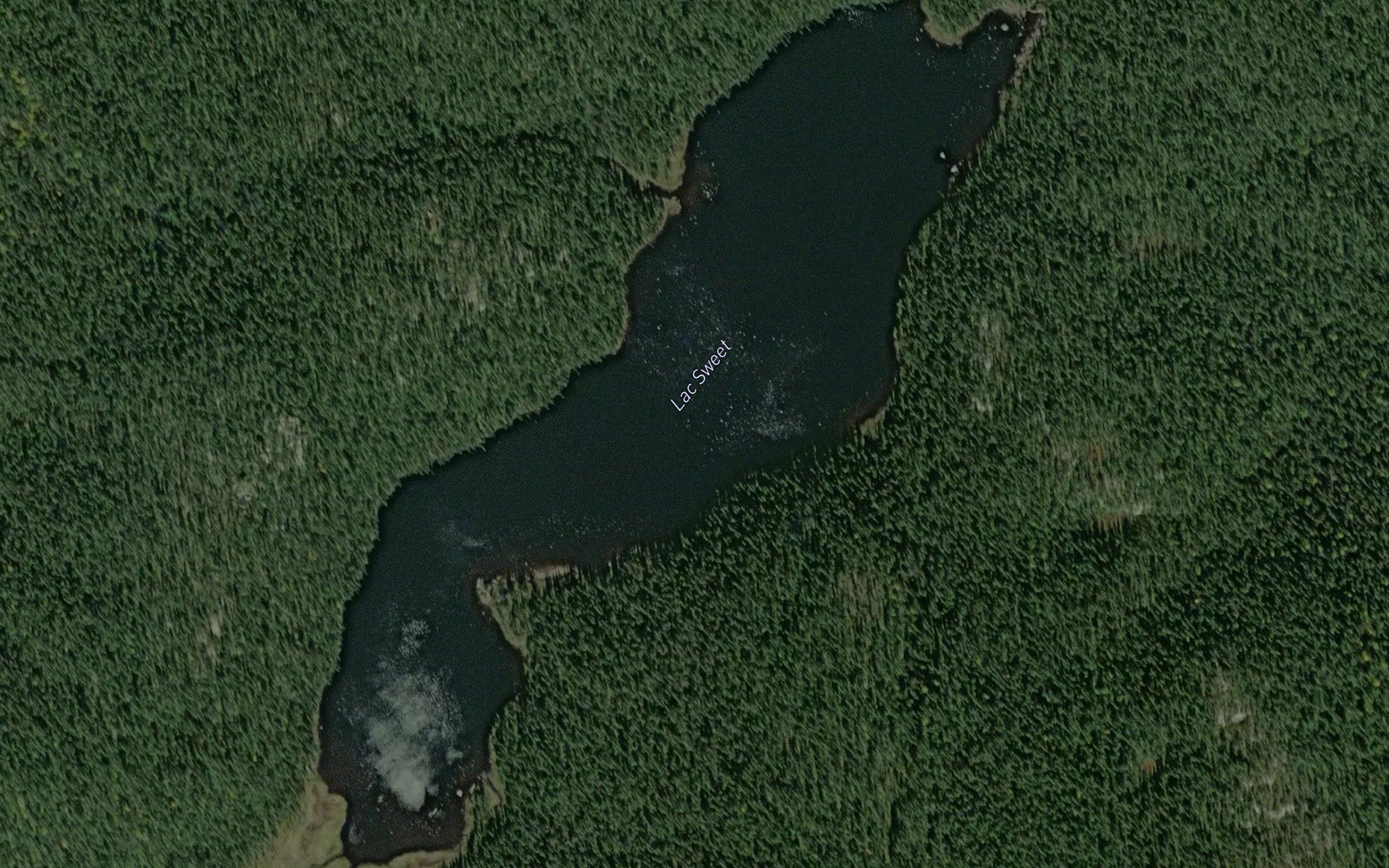 Lac Sweet