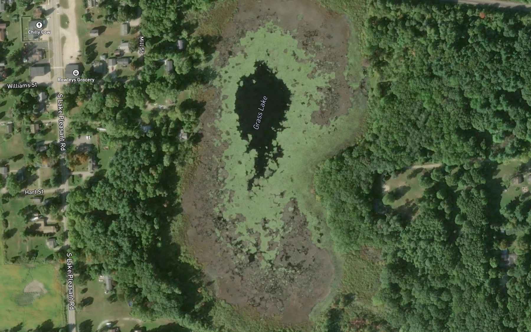 Satellite map of the Grass Lake