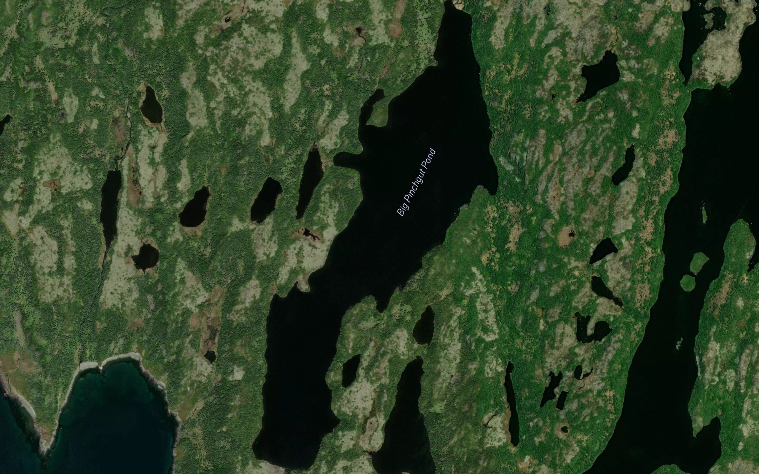 Big Pinchgut Pond