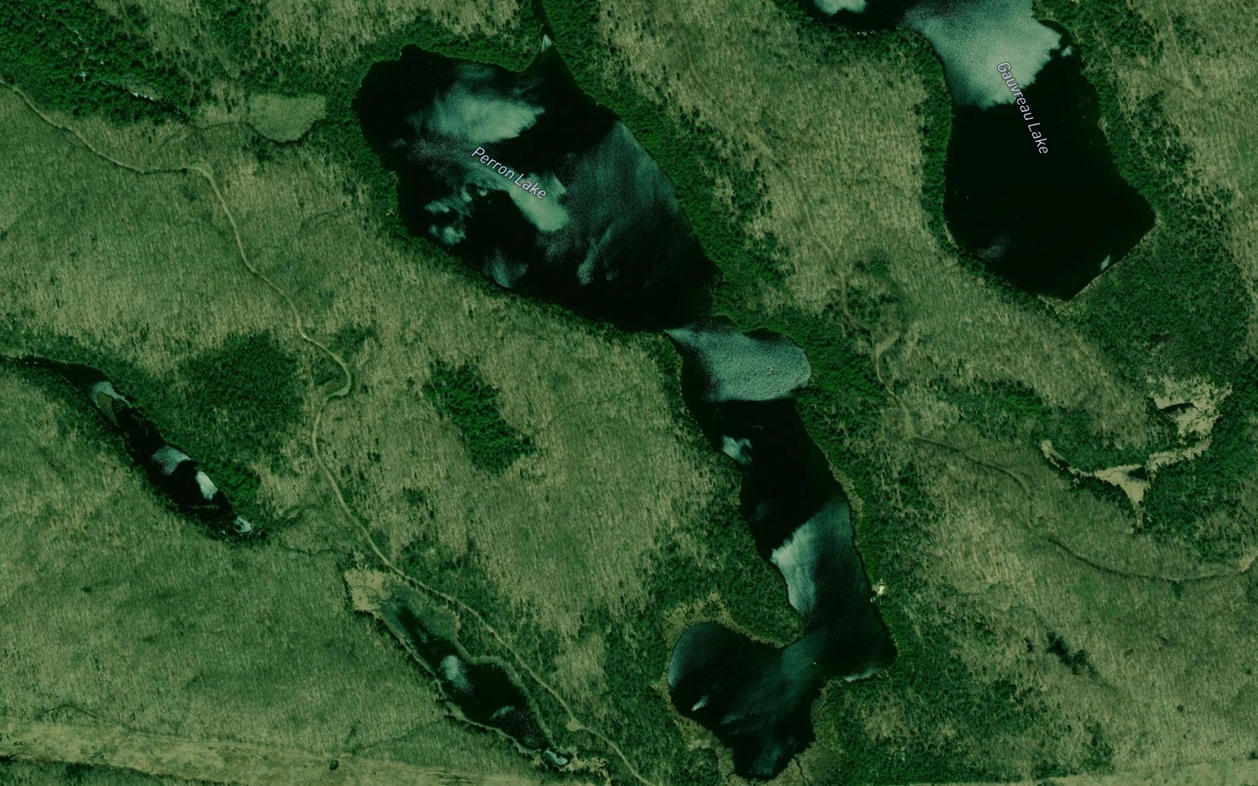 Satellite map of the Perron Lake