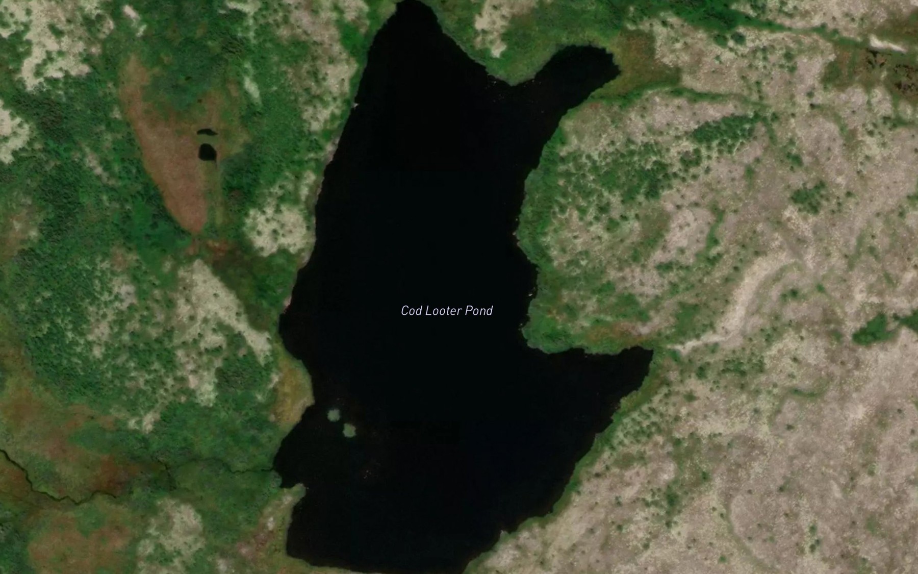 Satellite map of the Cod Looter Pond