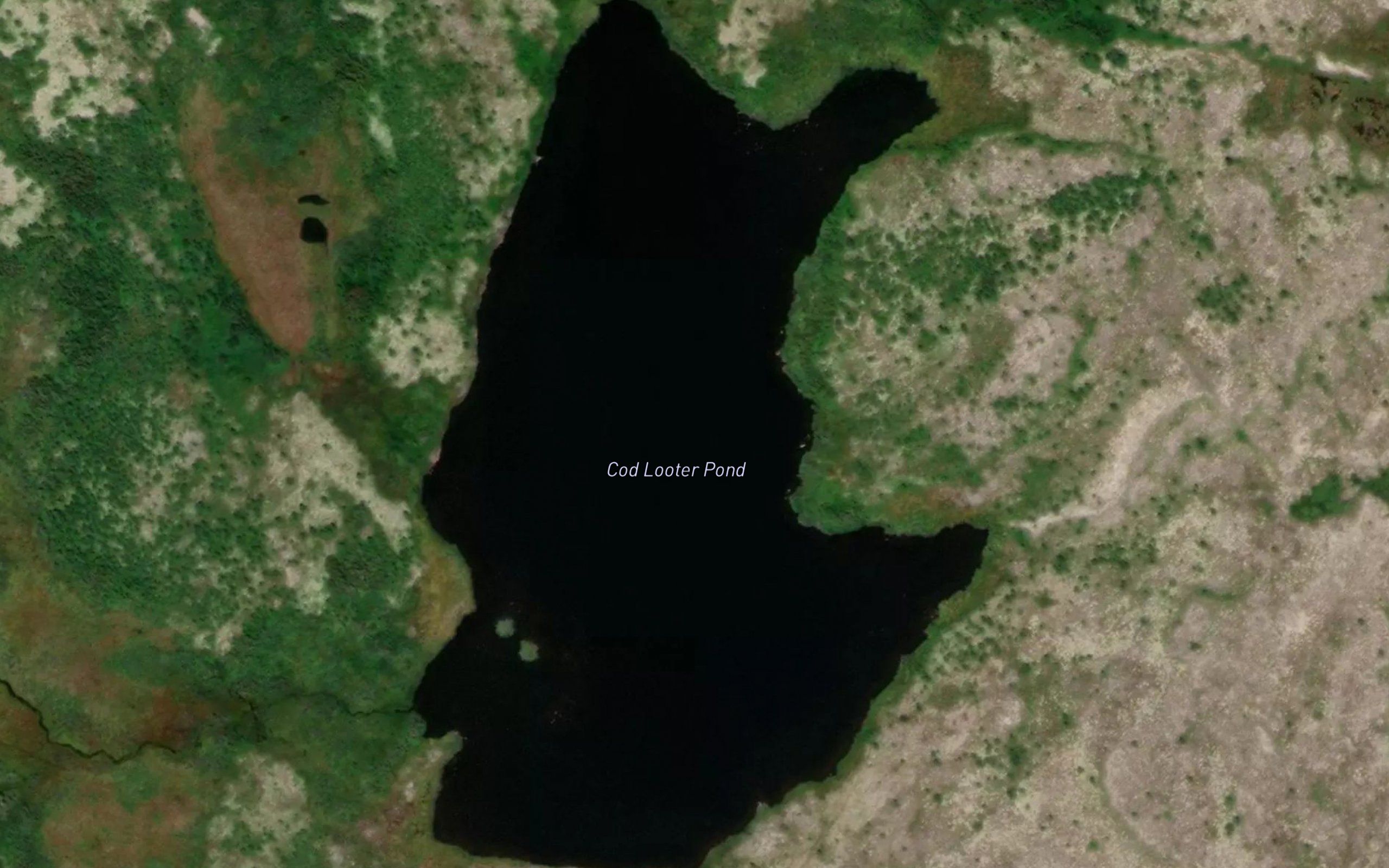 Cod Looter Pond