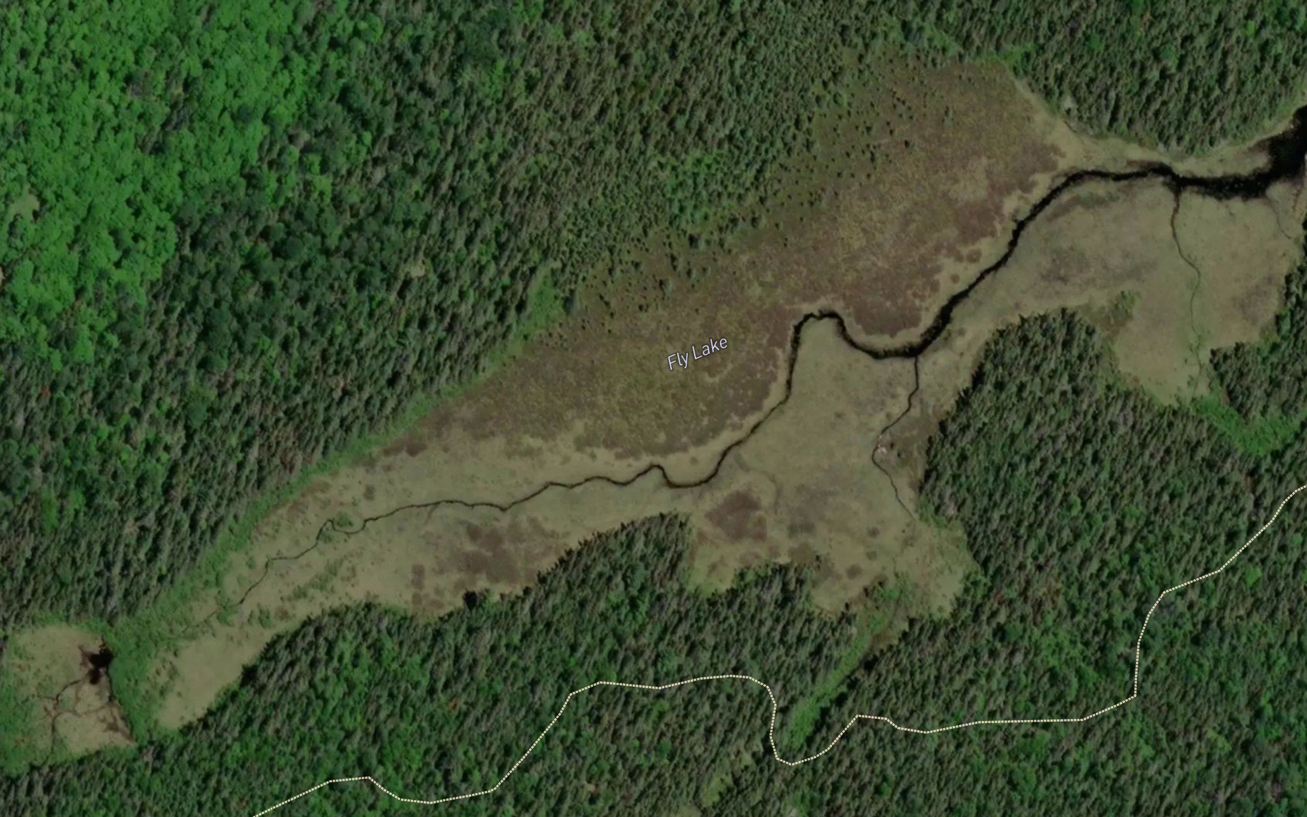Fly Lake