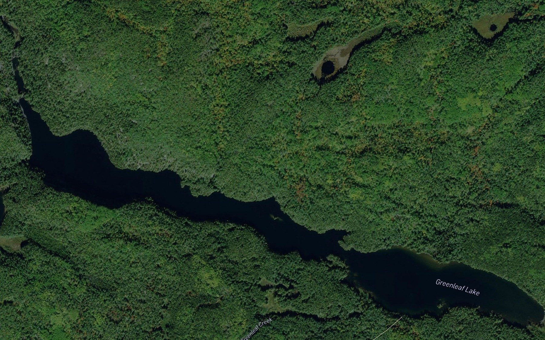 Satellite map of the Greenleaf Lake