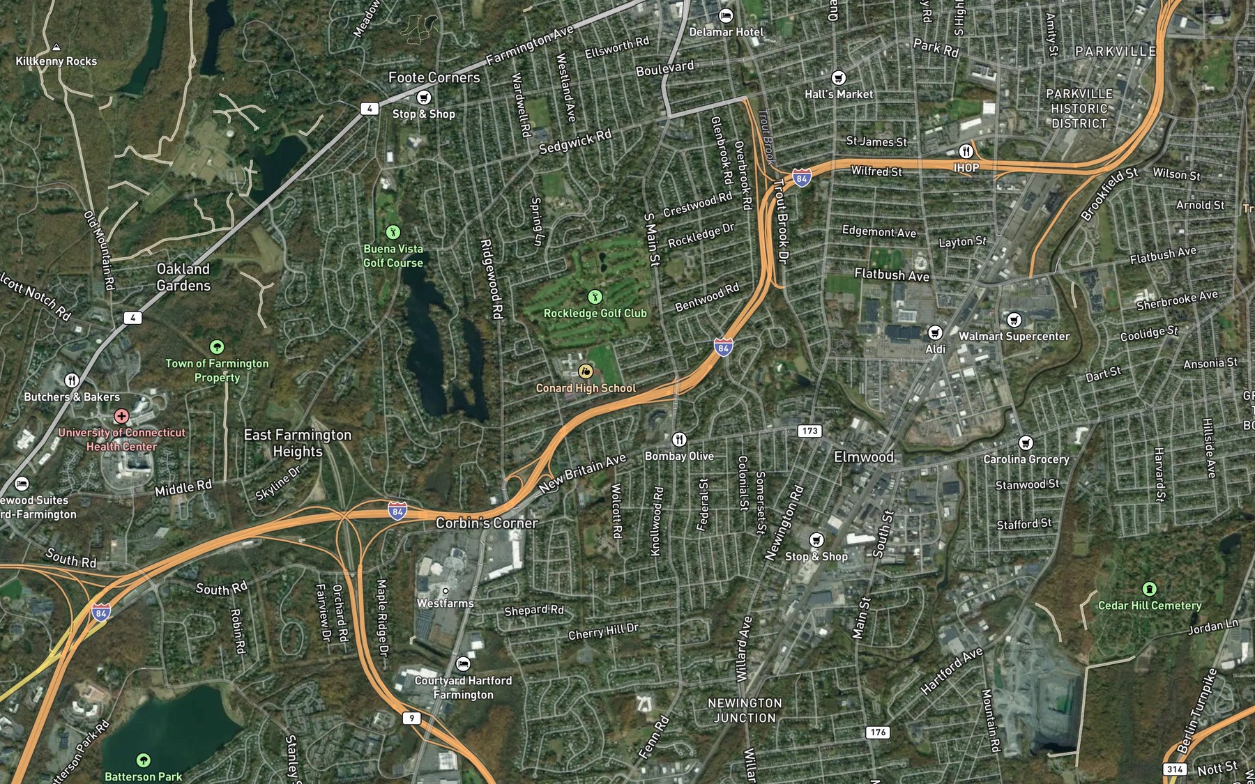 Satellite map of the South Branch Trout Brook
