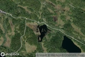 Holtjornlon