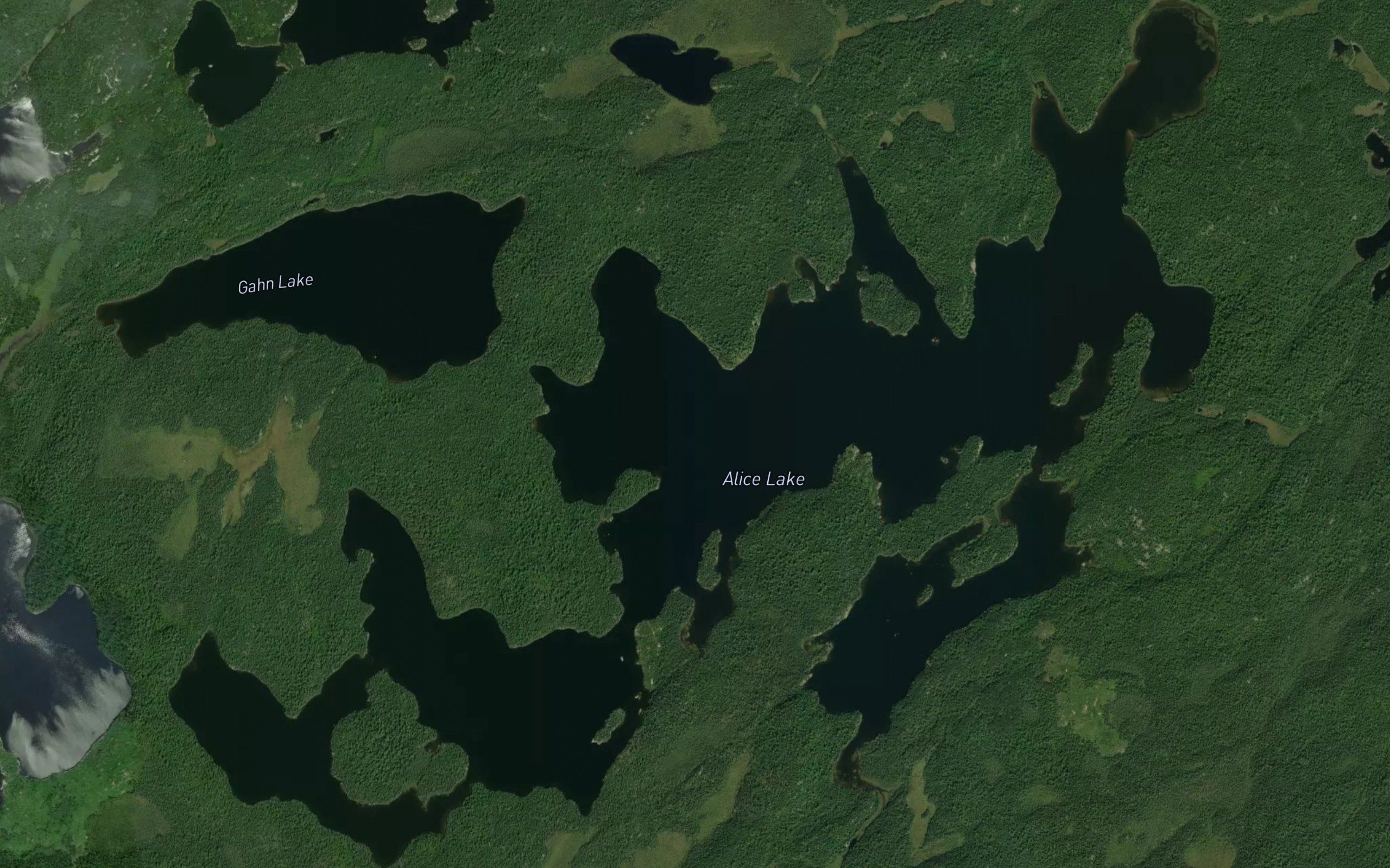 Alice Lake