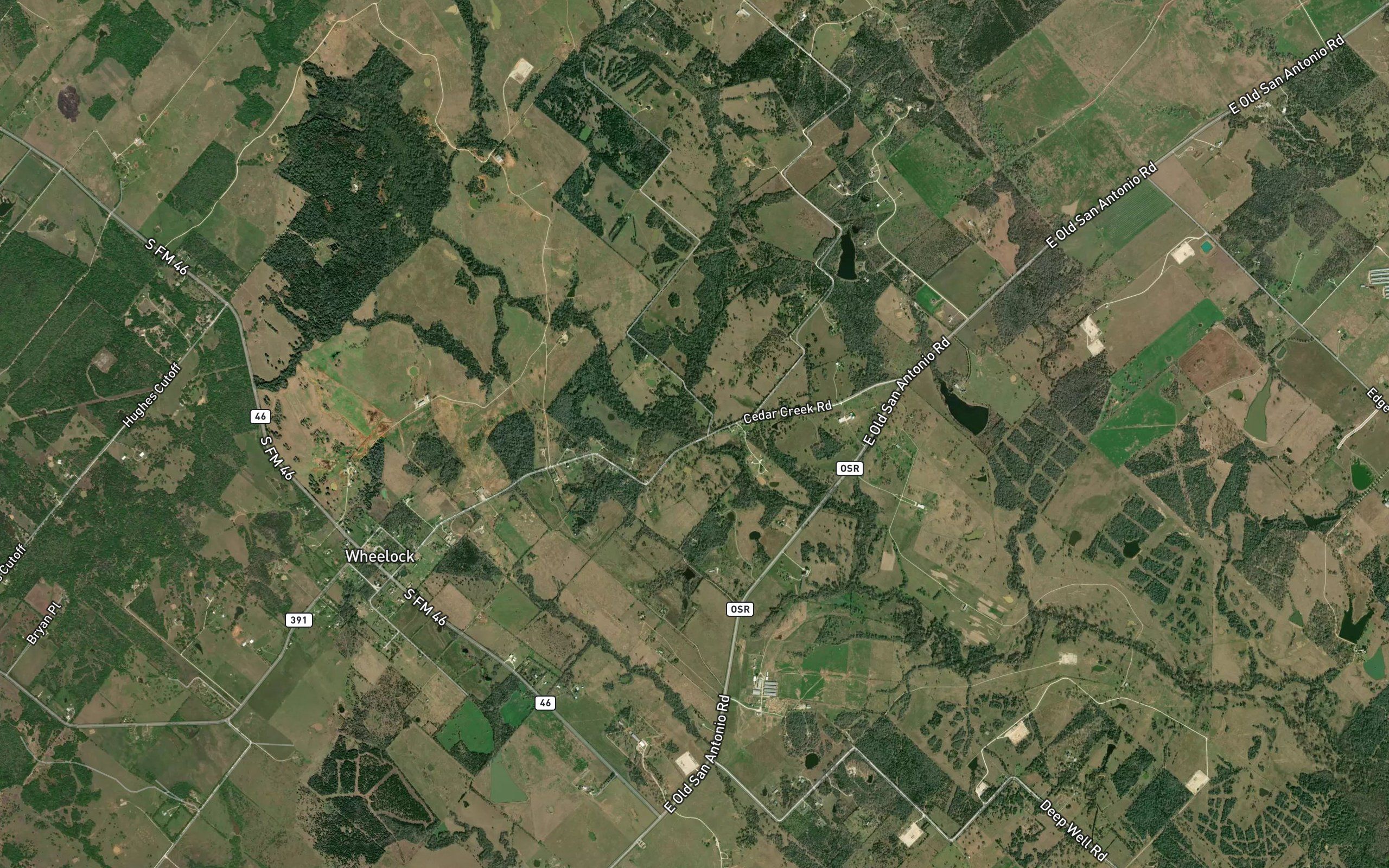 Melton Branch