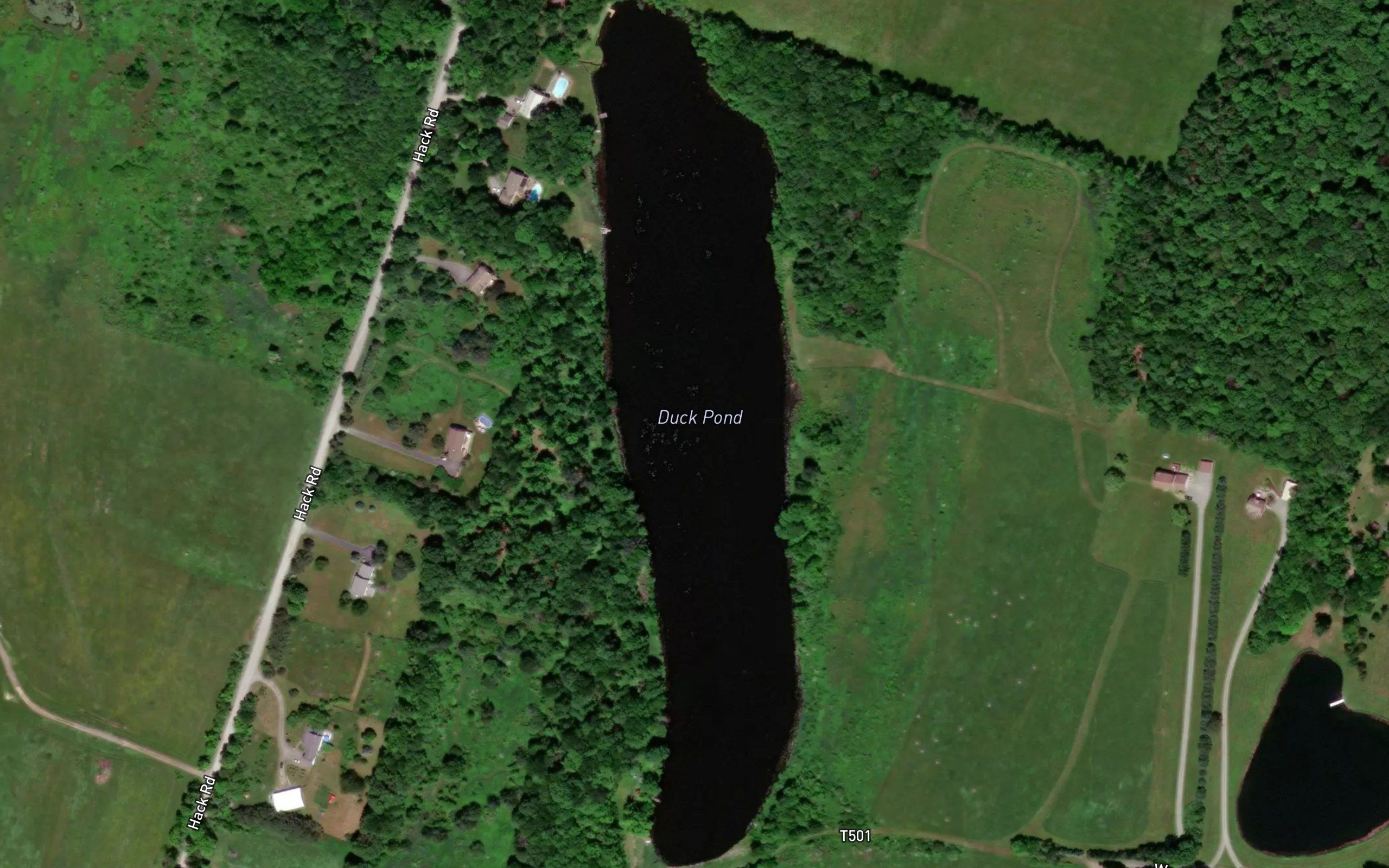 Duck Pond