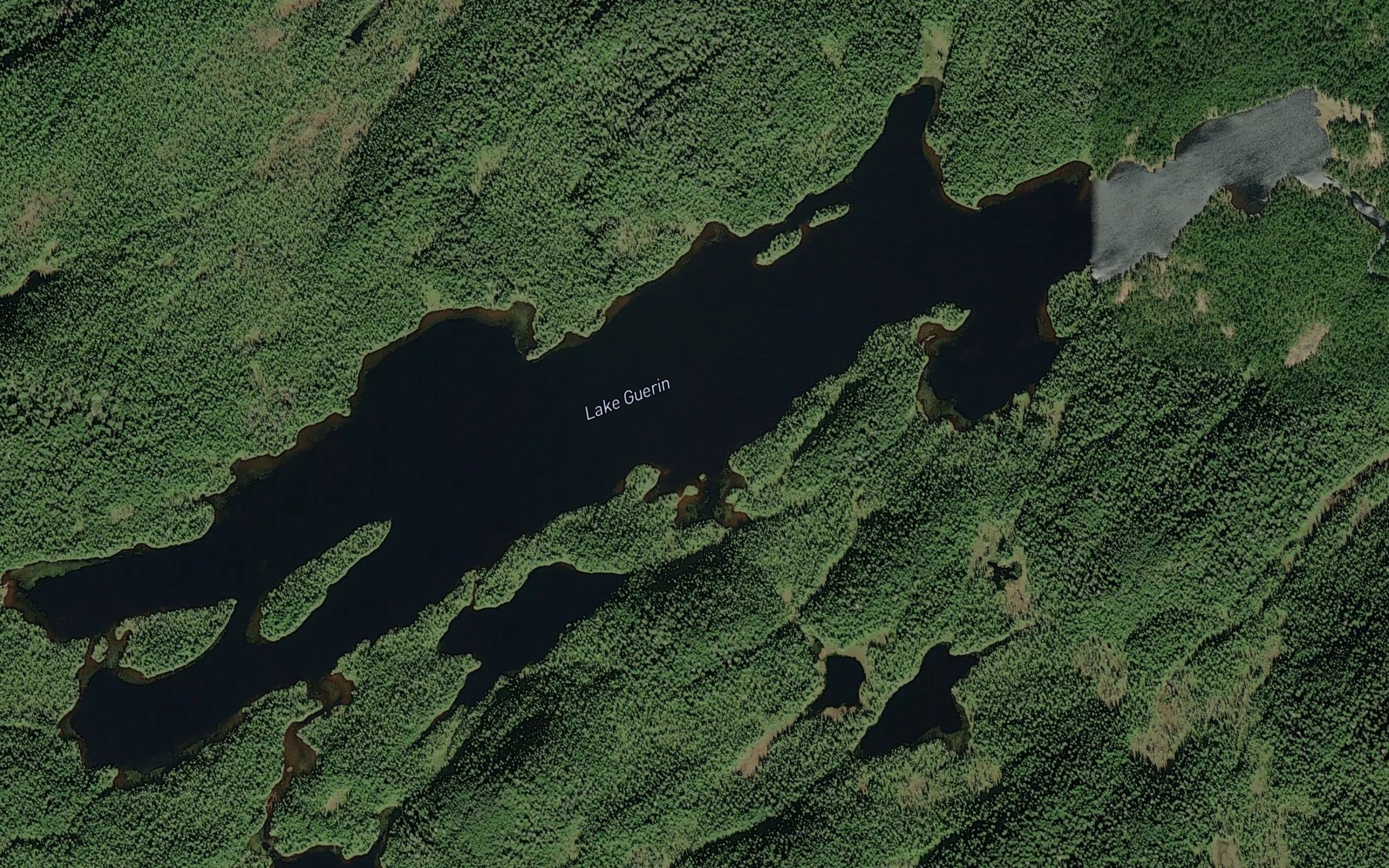 Satellite map of the Lake Guerin