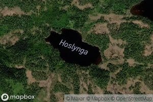 Hoslynga