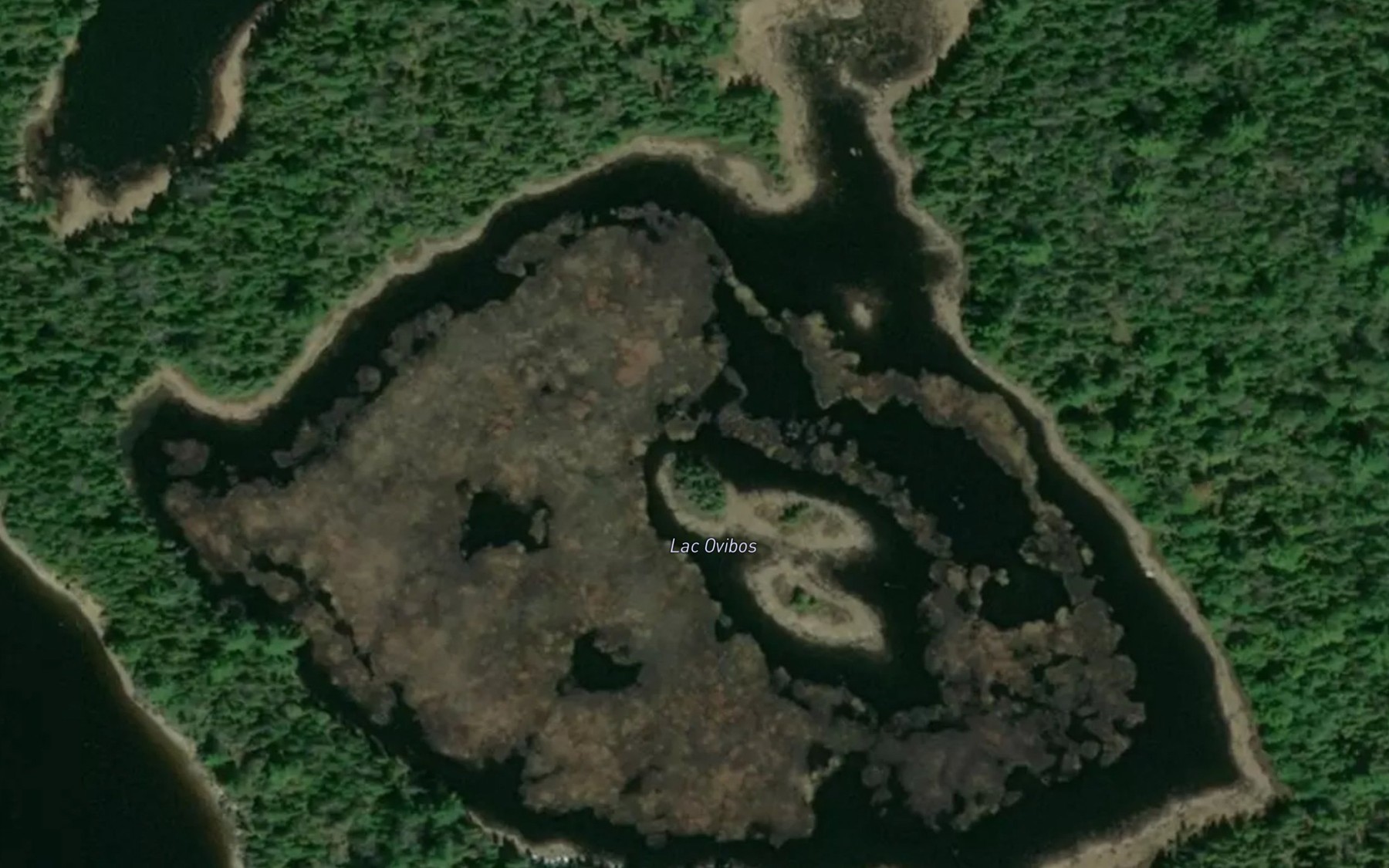 Satellite map of the Lac Ovibos