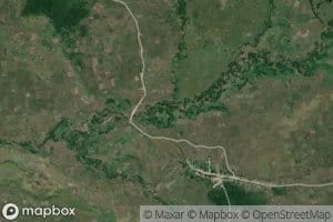 Ngulu