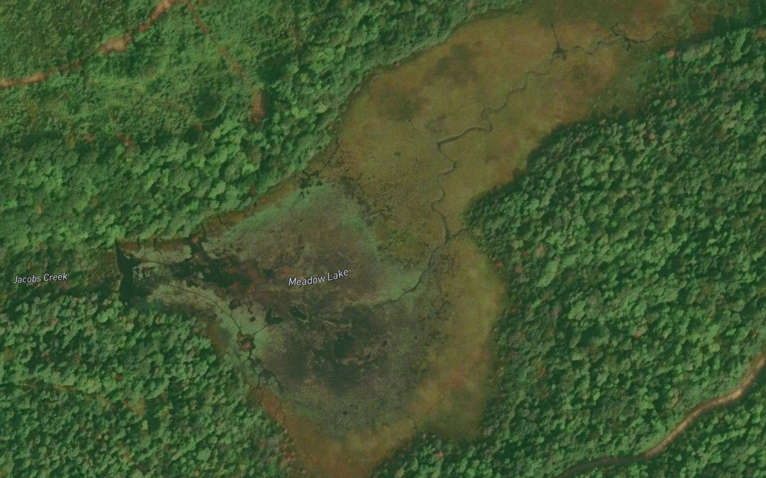 Meadow Lake