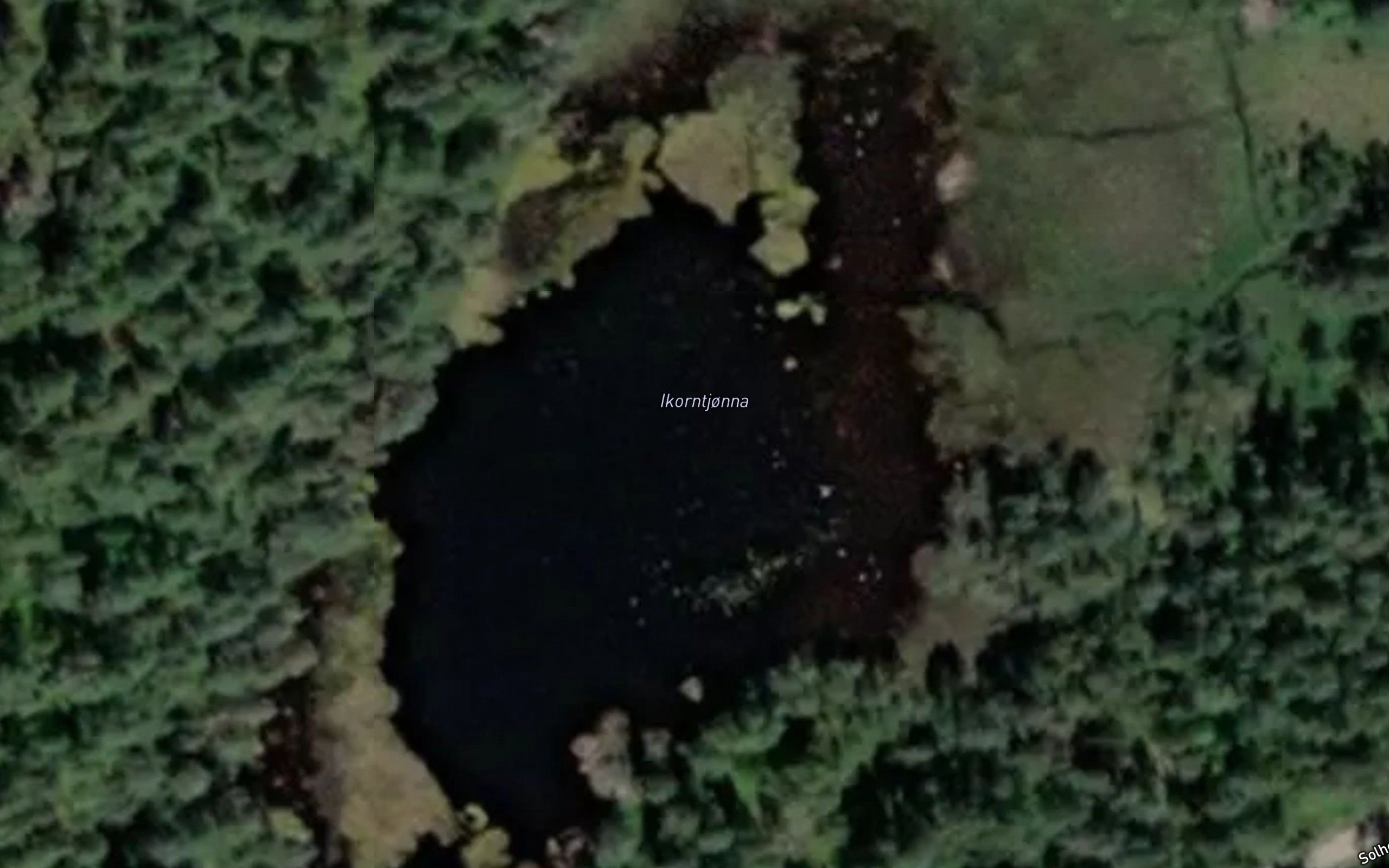 Ikorntjorna