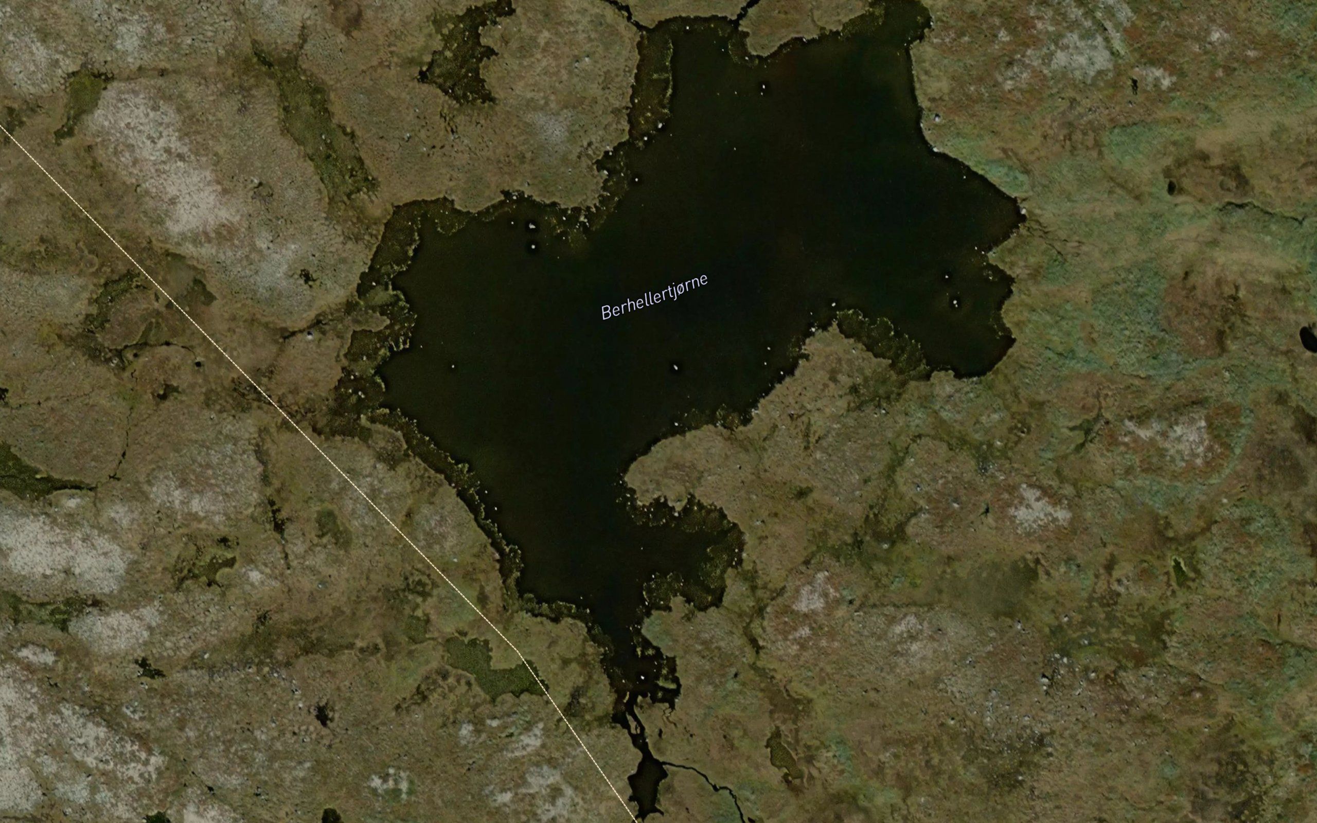 Berhellertjorne