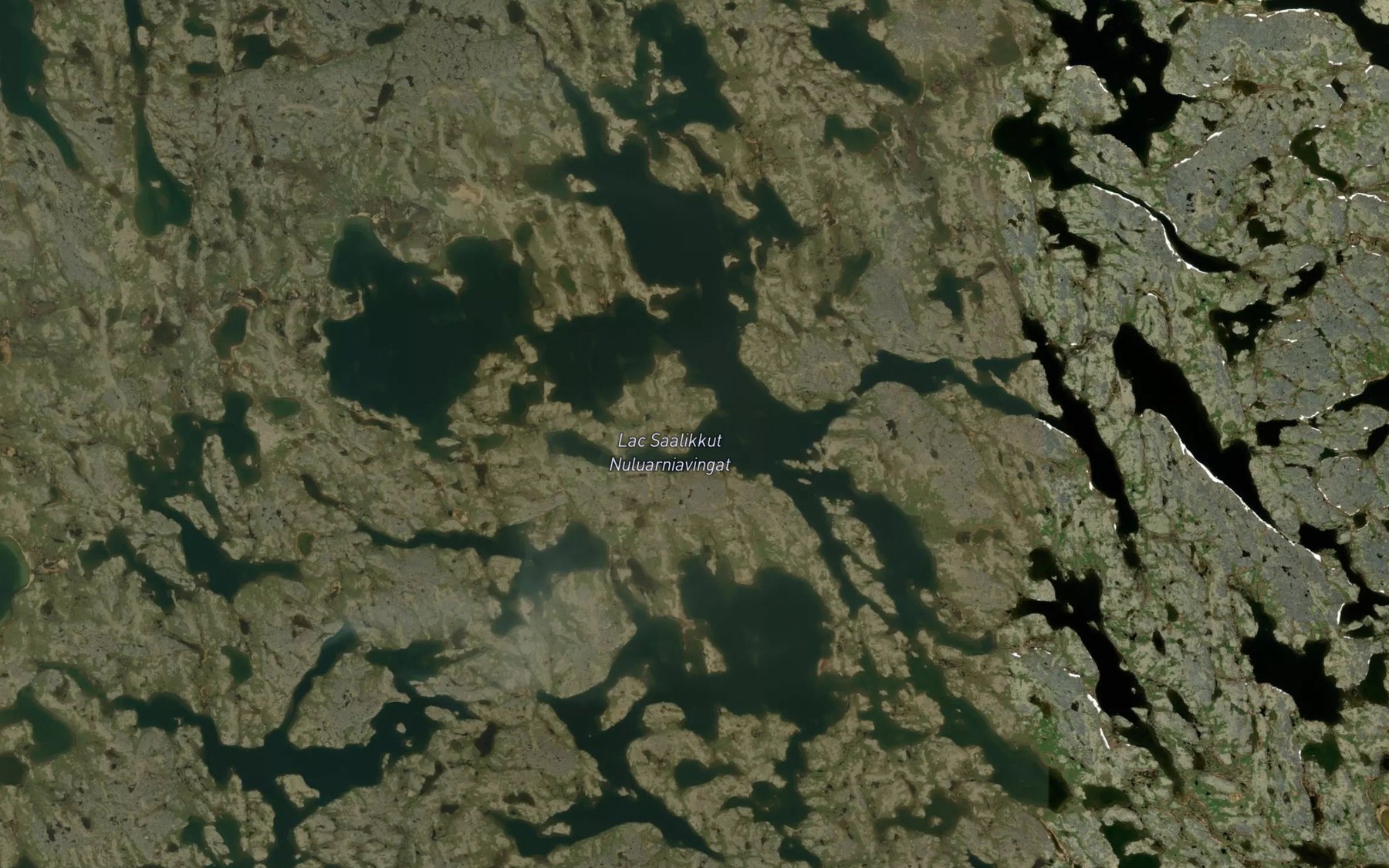 Satellite map of the Lac Saalikkut Nuluarniavingat