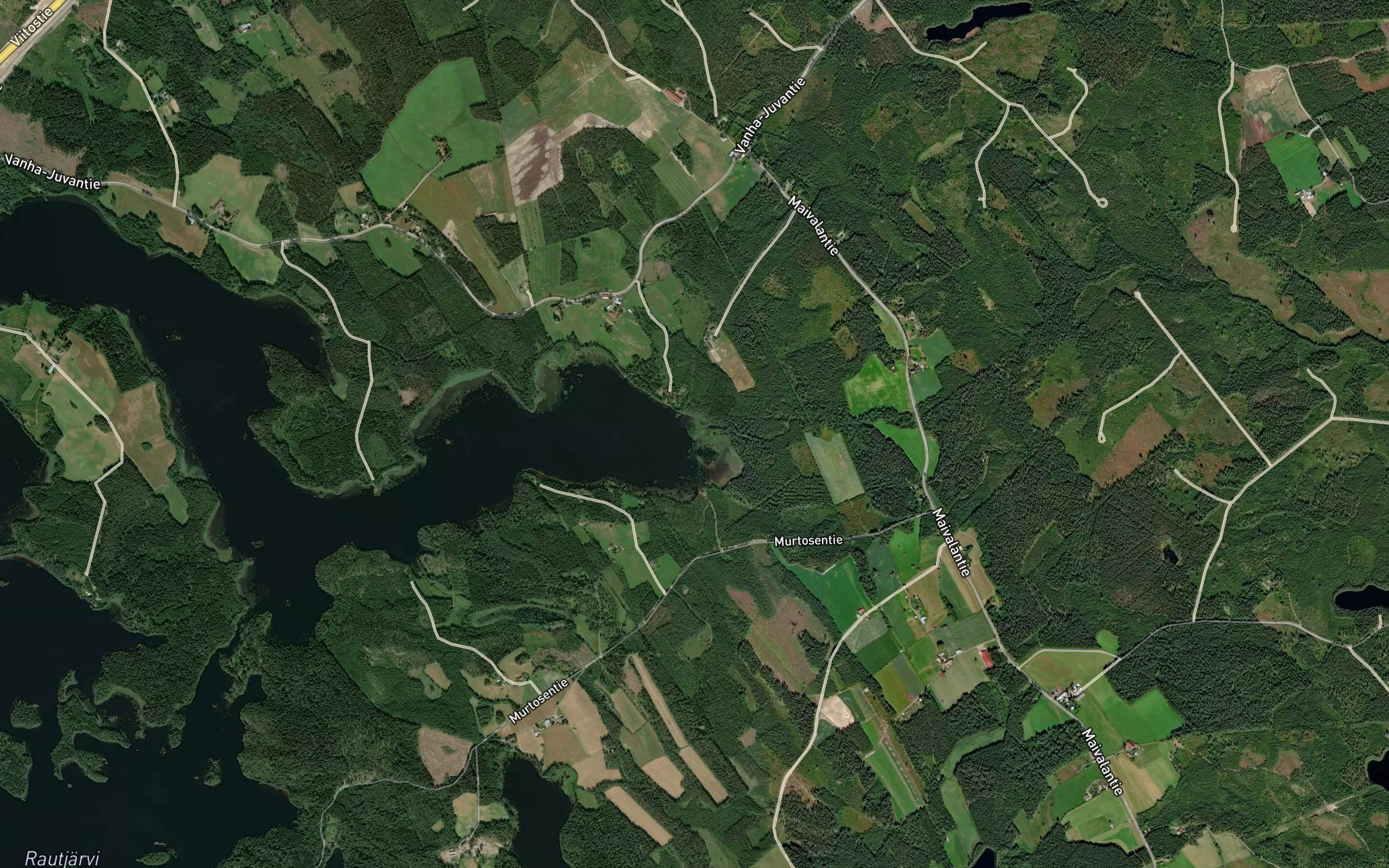 Talvijoki