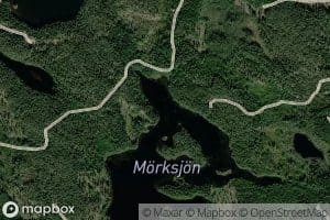 Morksjon