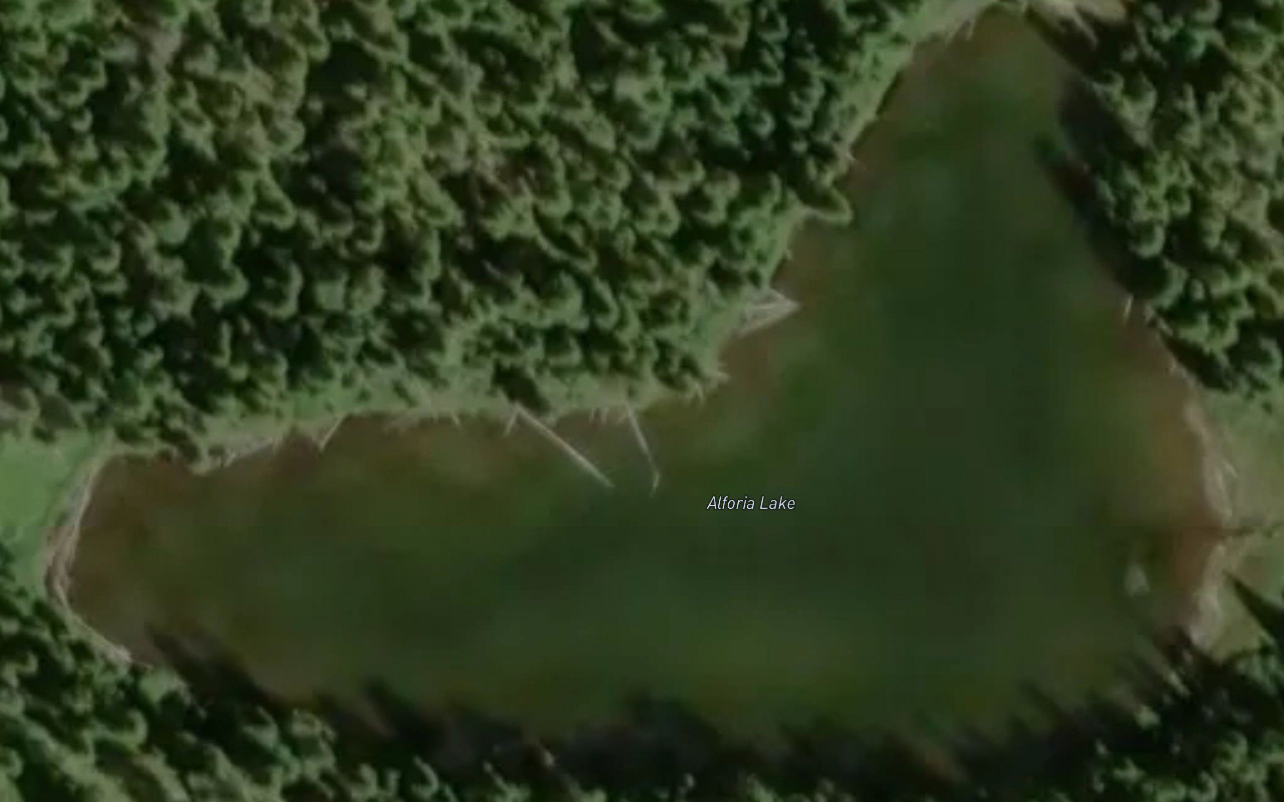 Alforja Lake