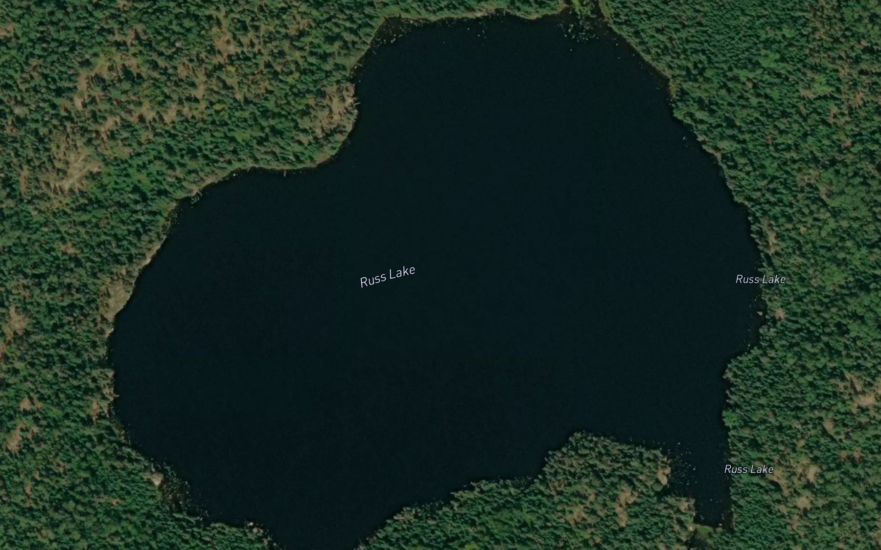 Satellite map of the Russ Lake