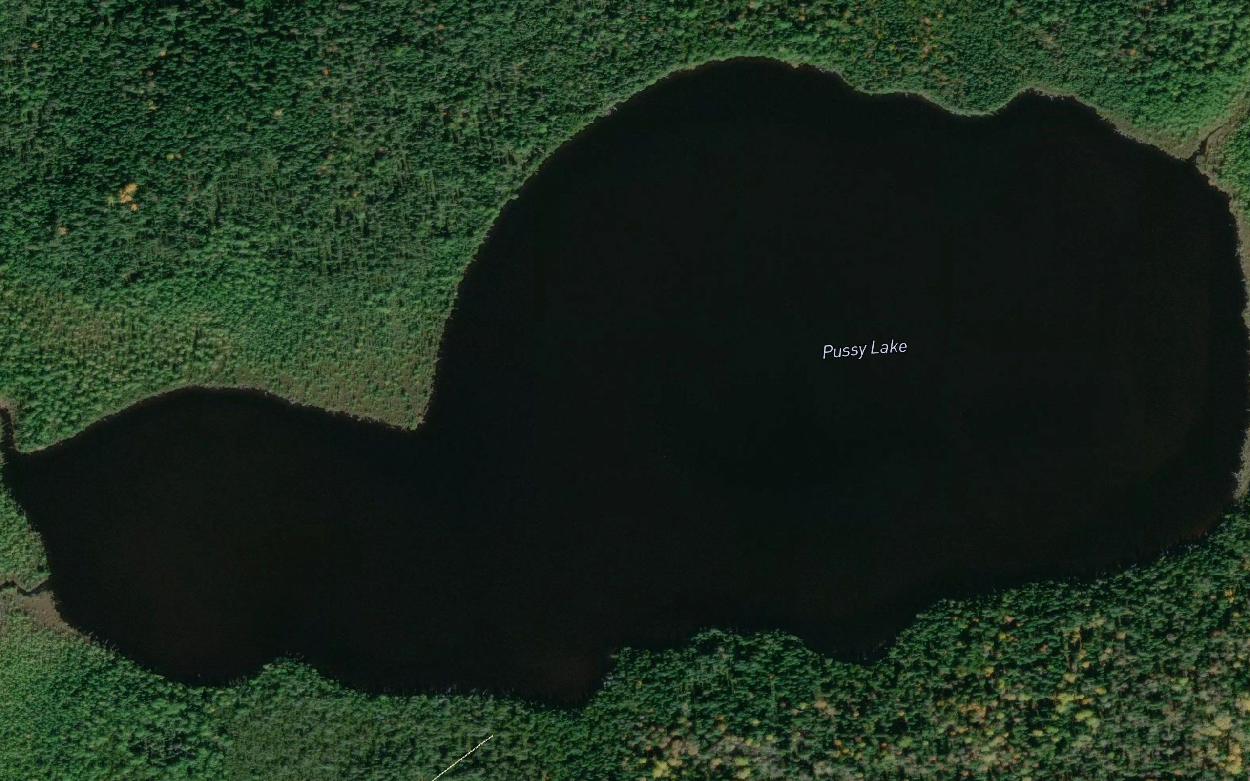 Pussy Lake