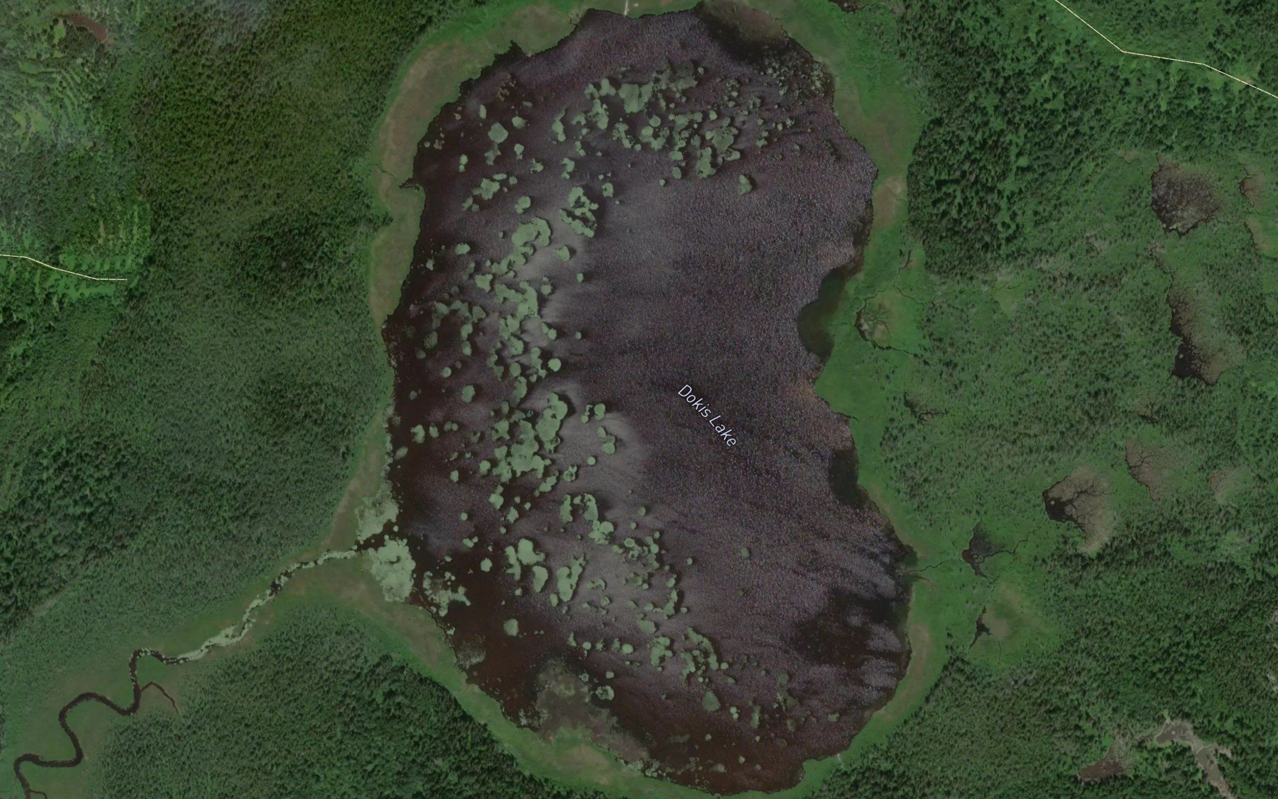 Dokis Lake