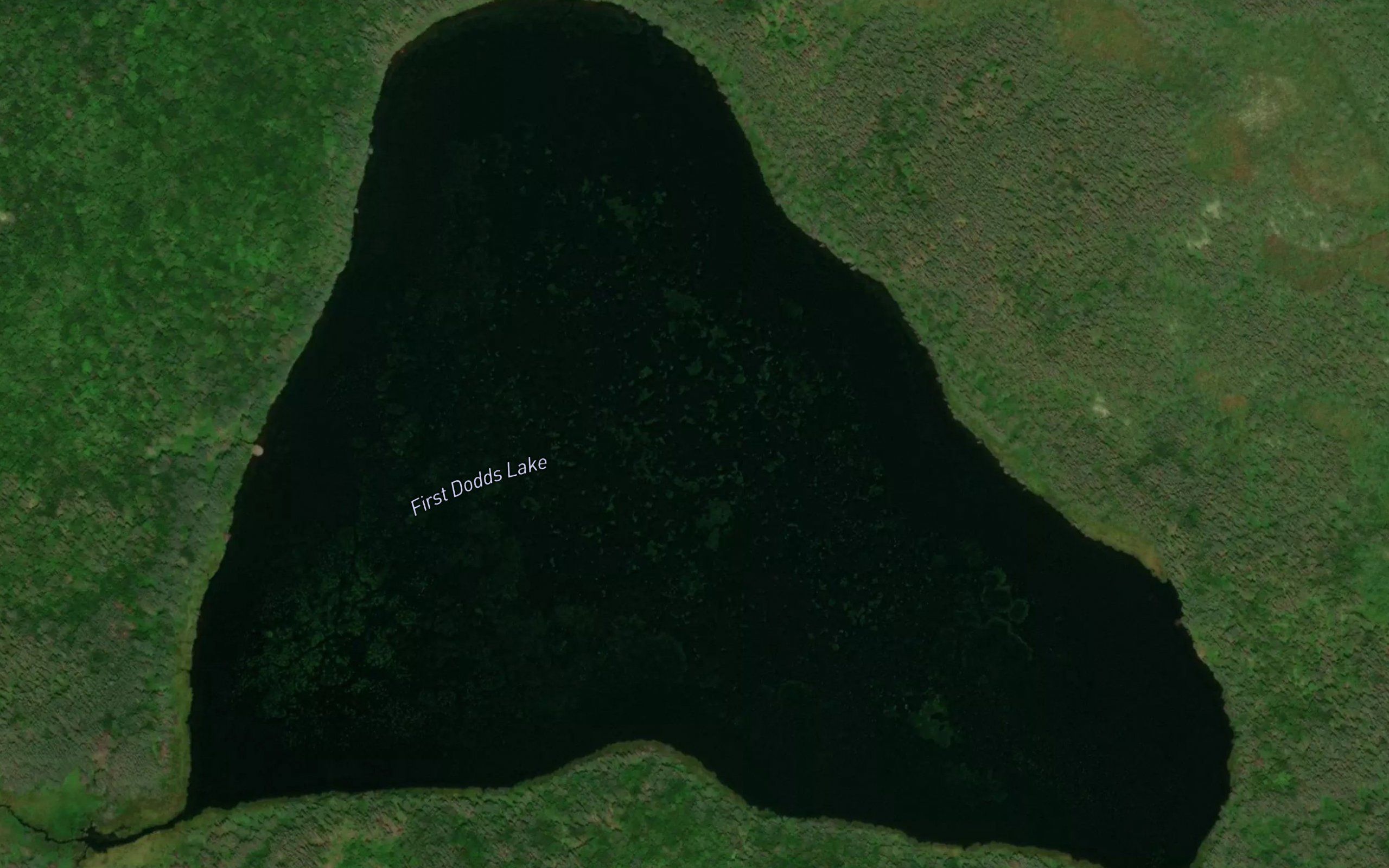 First Dodds Lake