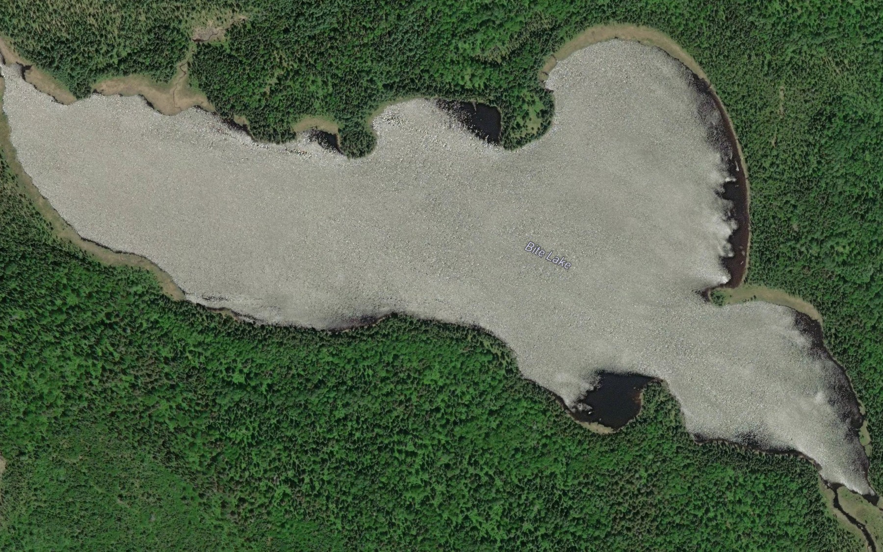 Satellite map of the Bite Lake