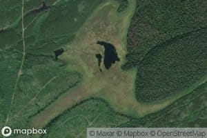 The Horse Pond