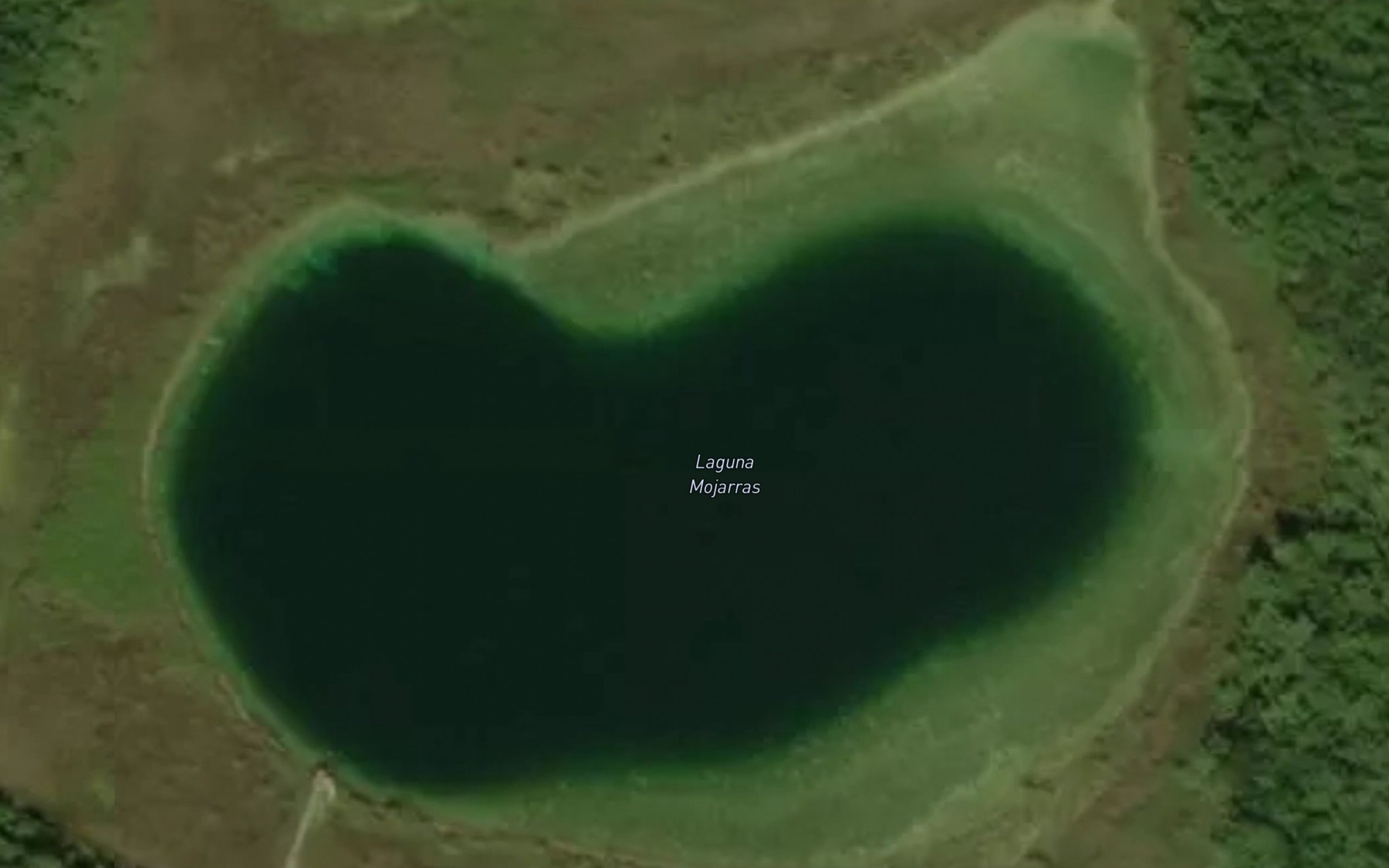 Satellite map of the Lagunas Mojarras