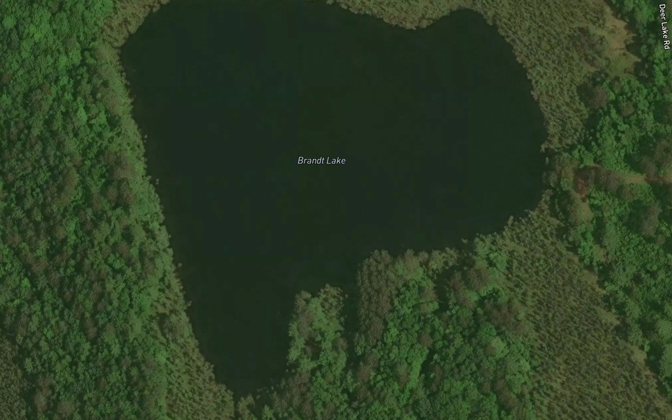 Brandt Lake