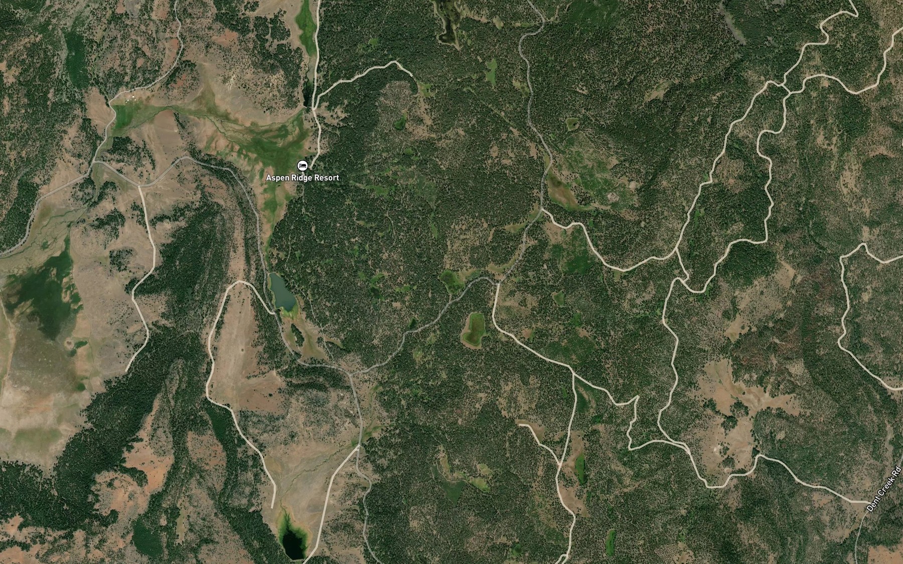 Satellite map of the Lower Pitt Lake