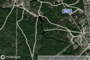 Marcinkoniu Tvenkinys