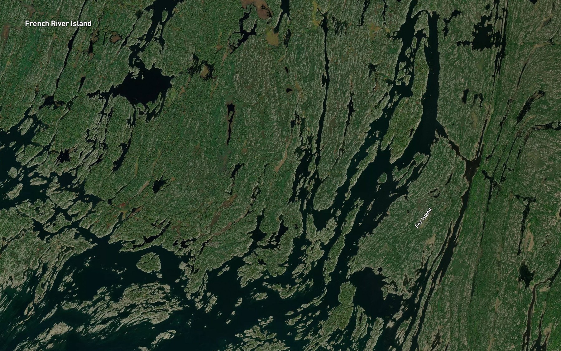 Satellite map of the Otter Bay