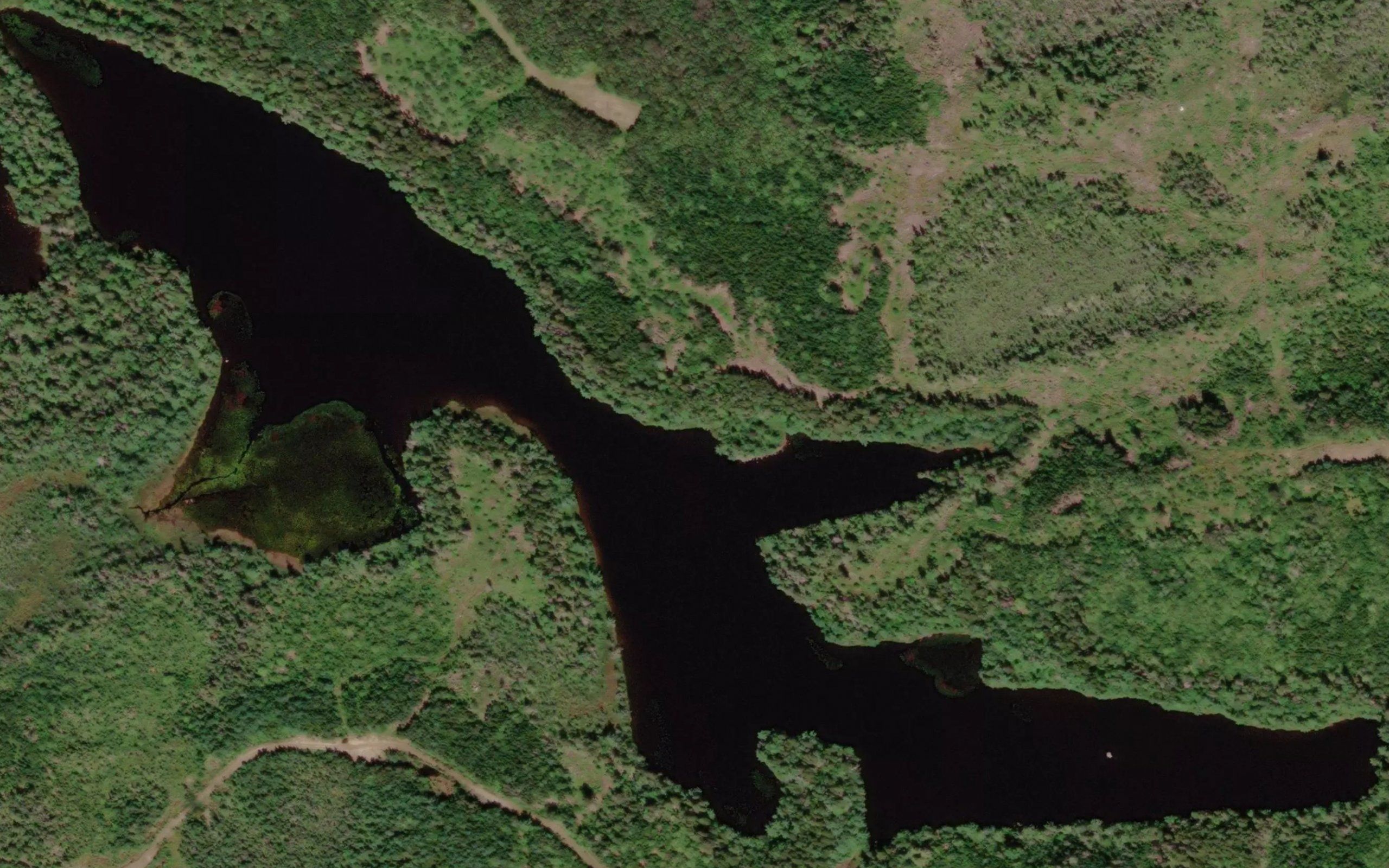 Lower Kidney Lake