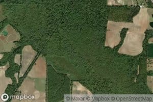 Double Bridges Creek