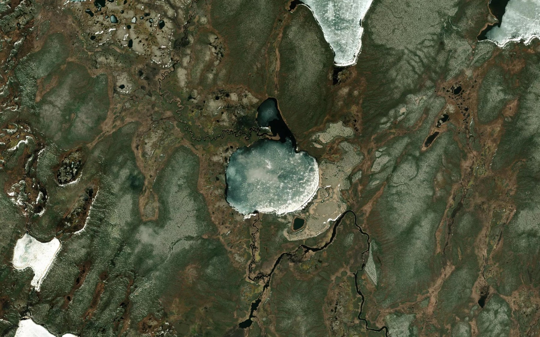 Satellite map of the Chmielowiec Lake