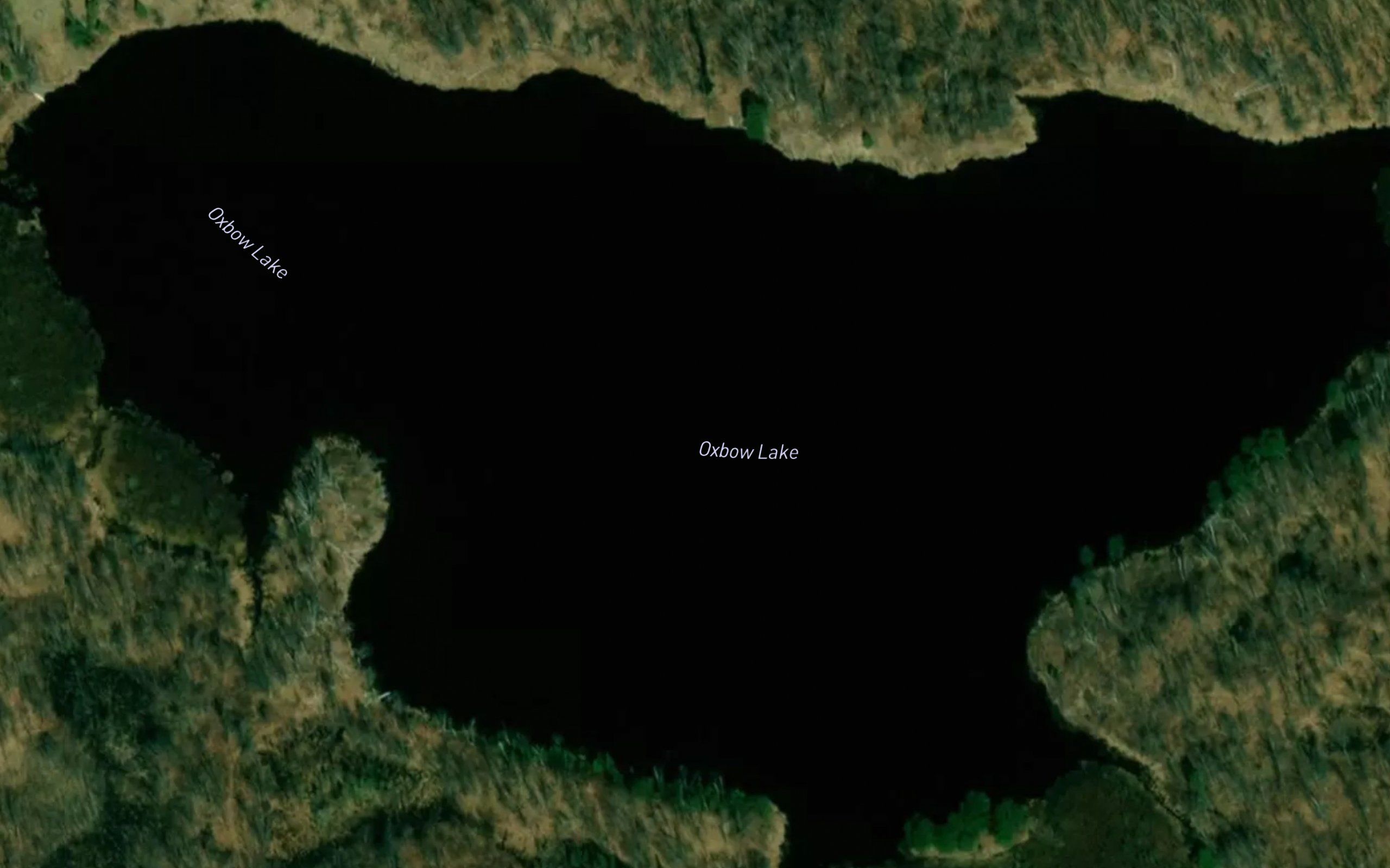 Oxbow Lake