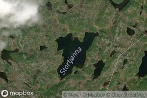 Stortjorna
