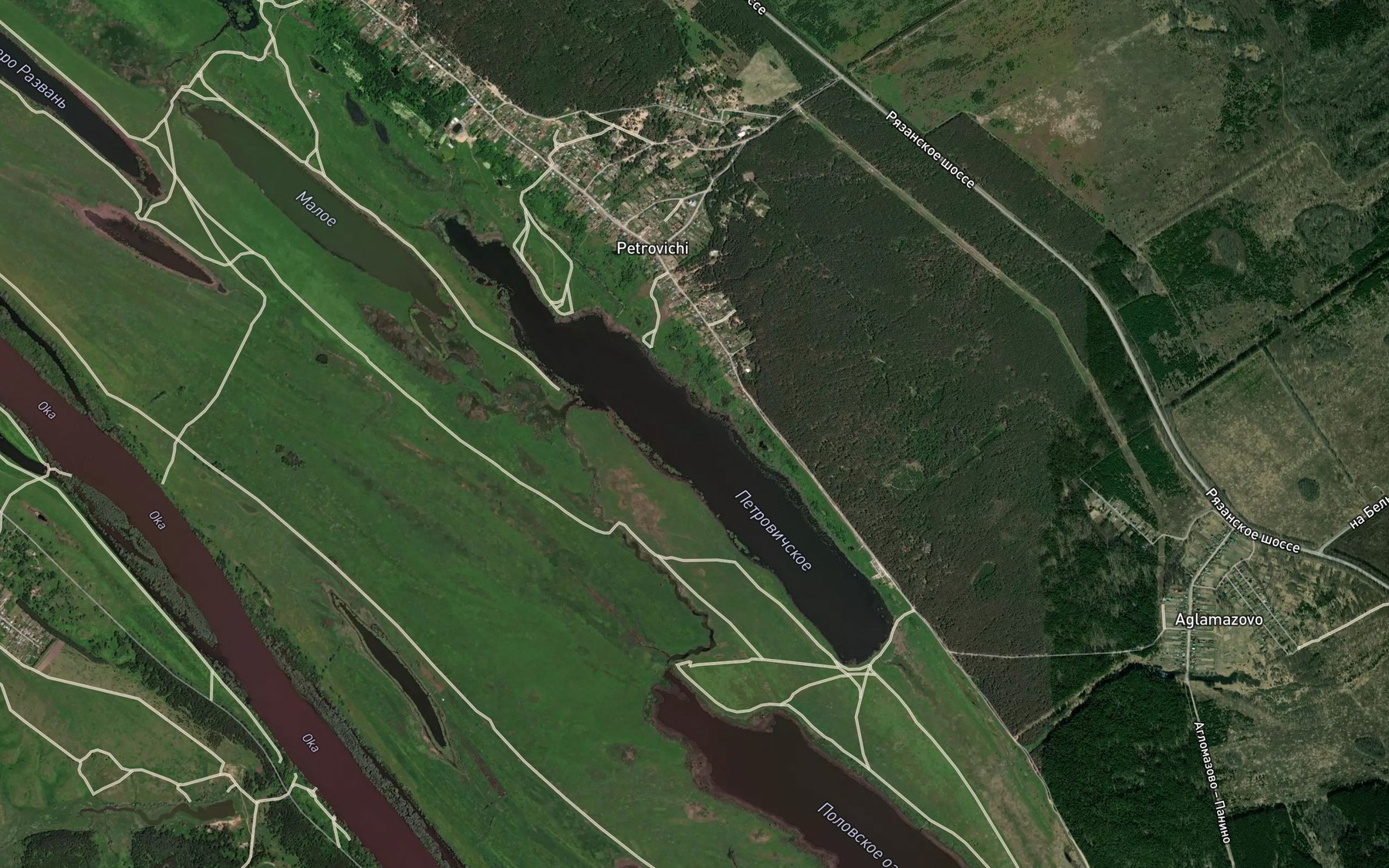 Satellite map of the Ozero Petrovichskoye