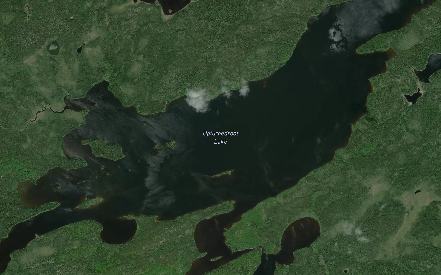 Satellite map of the Upturnedroot Lake