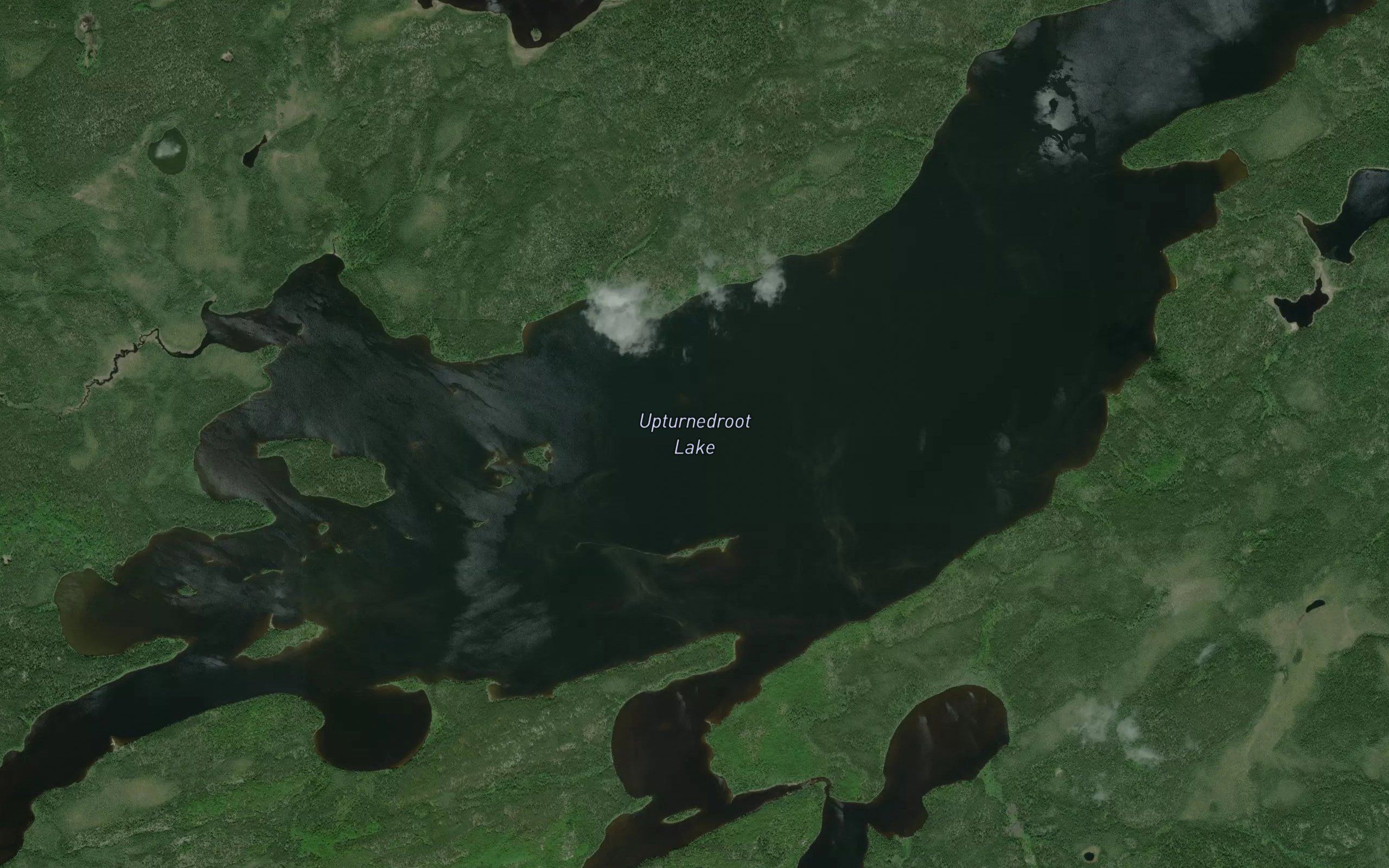 Upturnedroot Lake